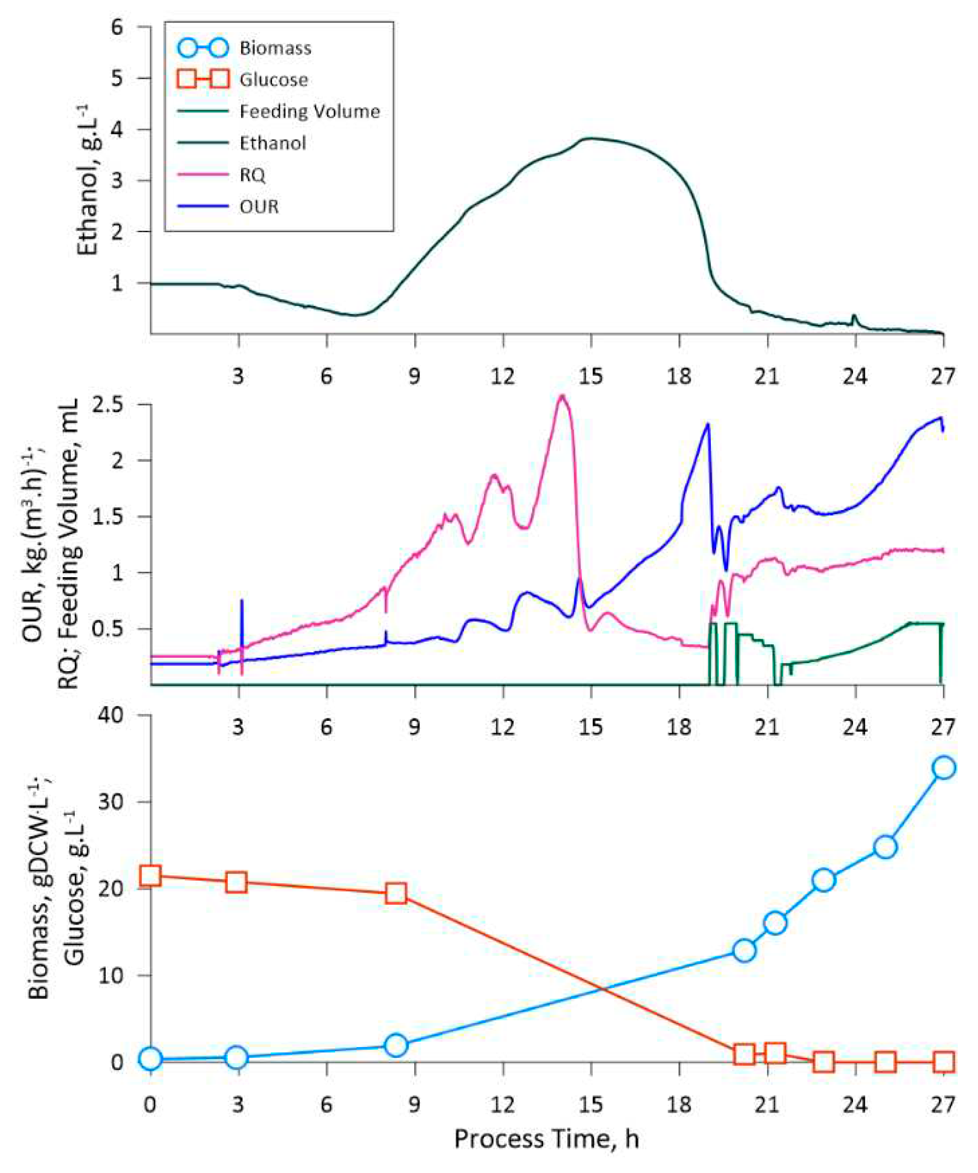 Preprints 90371 g001