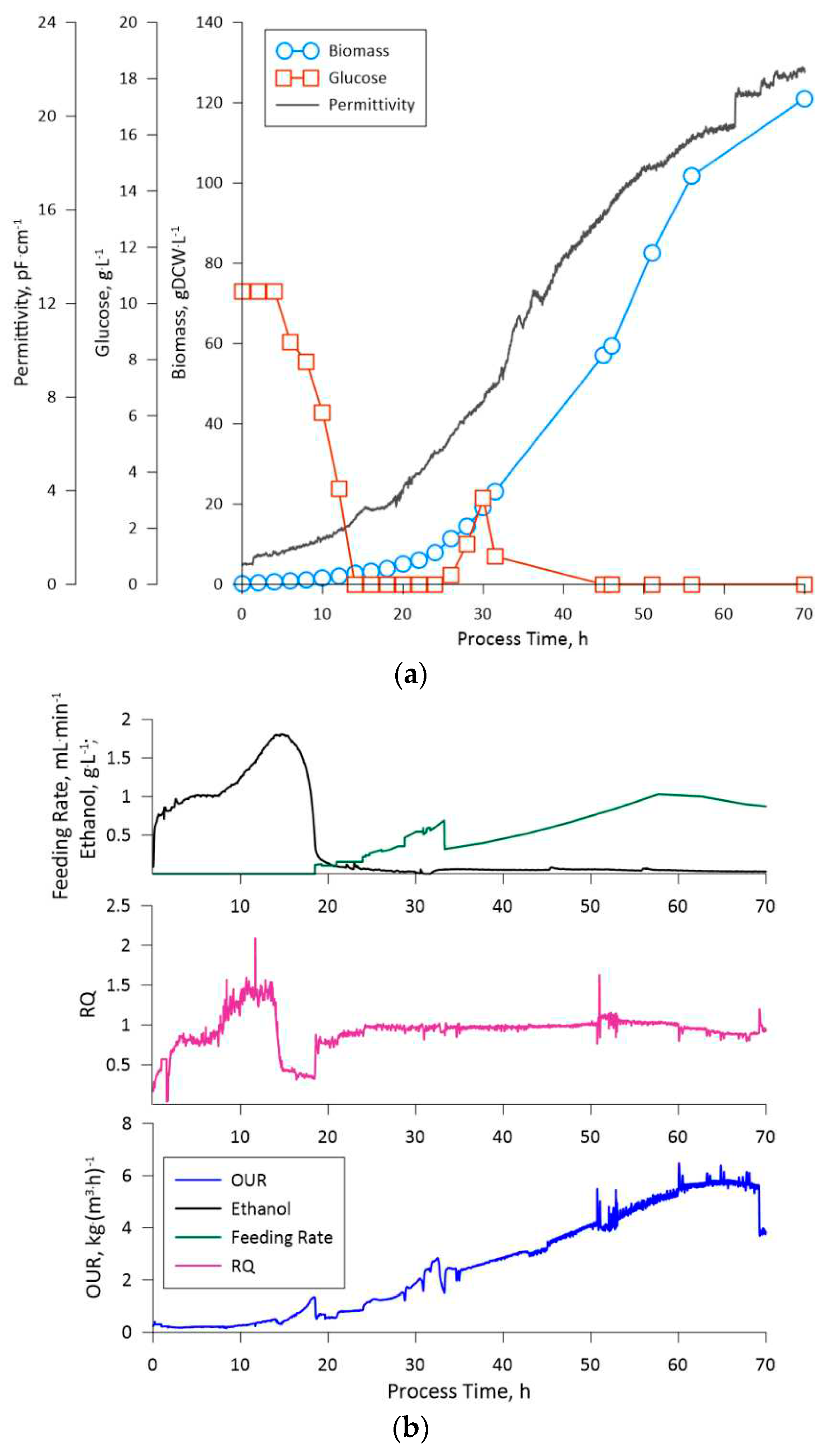 Preprints 90371 g003