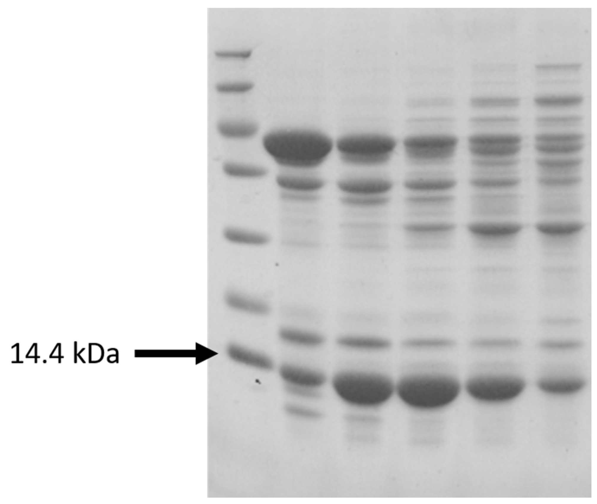 Preprints 90371 g0a3