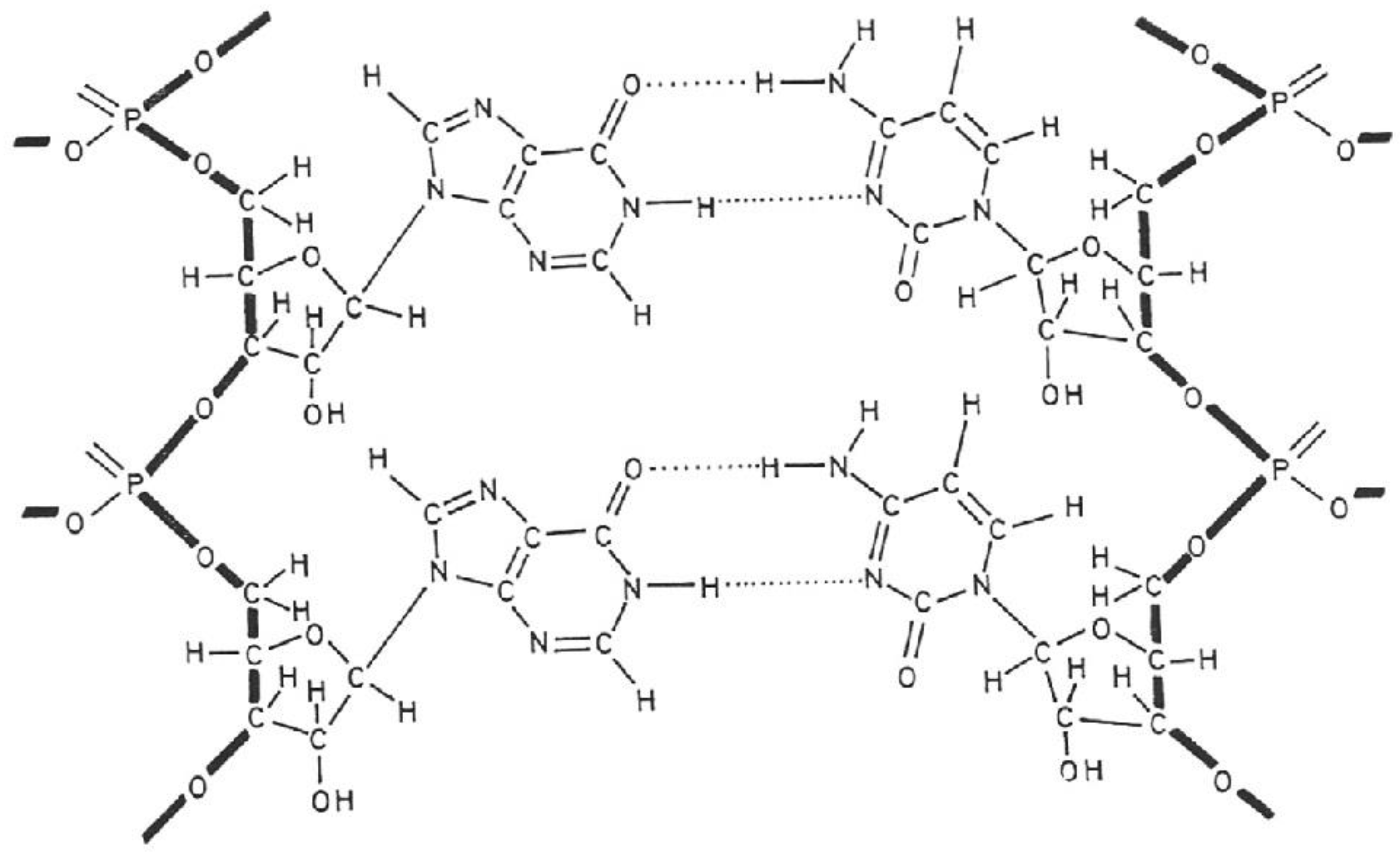 Preprints 92225 g002