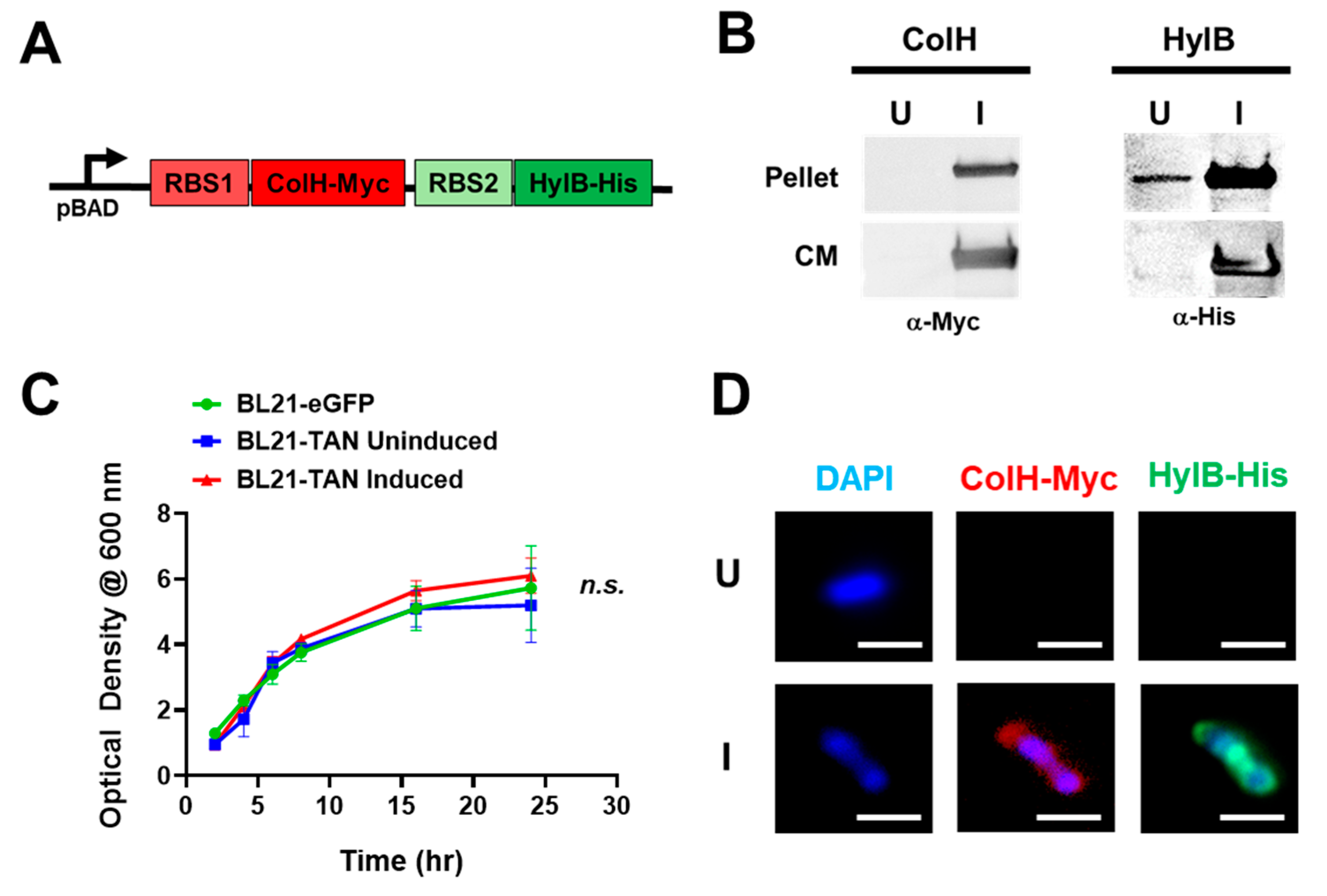 Preprints 138087 g001