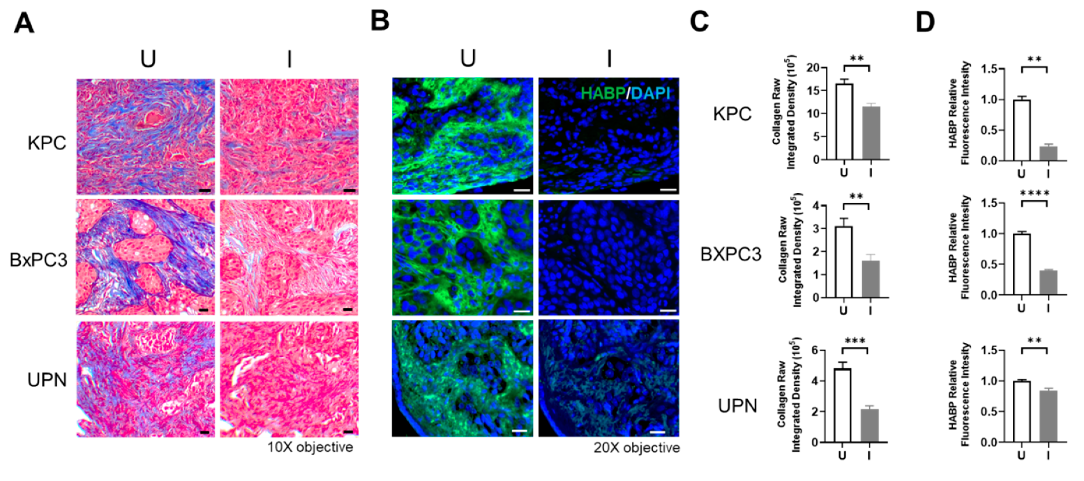 Preprints 138087 g003