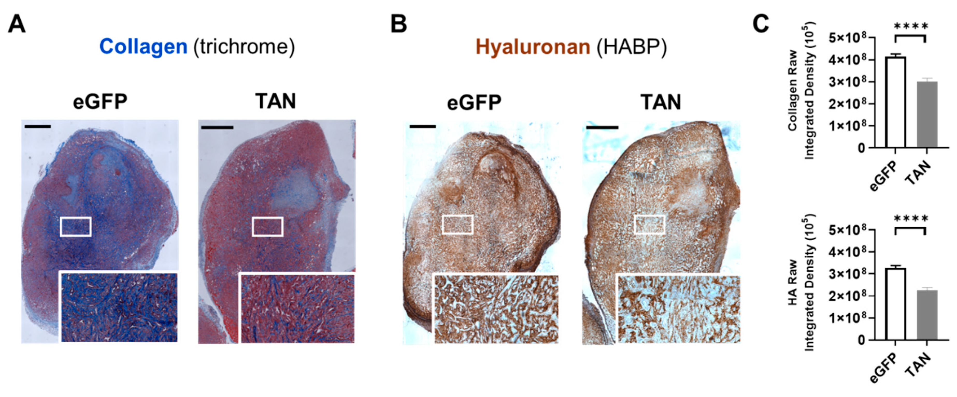 Preprints 138087 g005