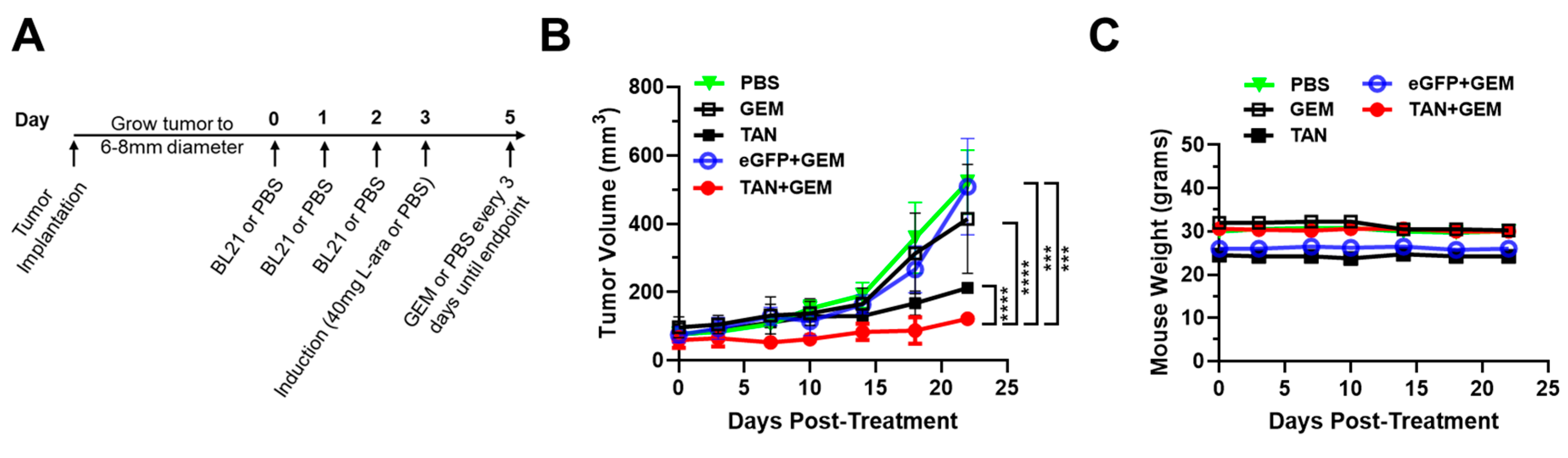 Preprints 138087 g006