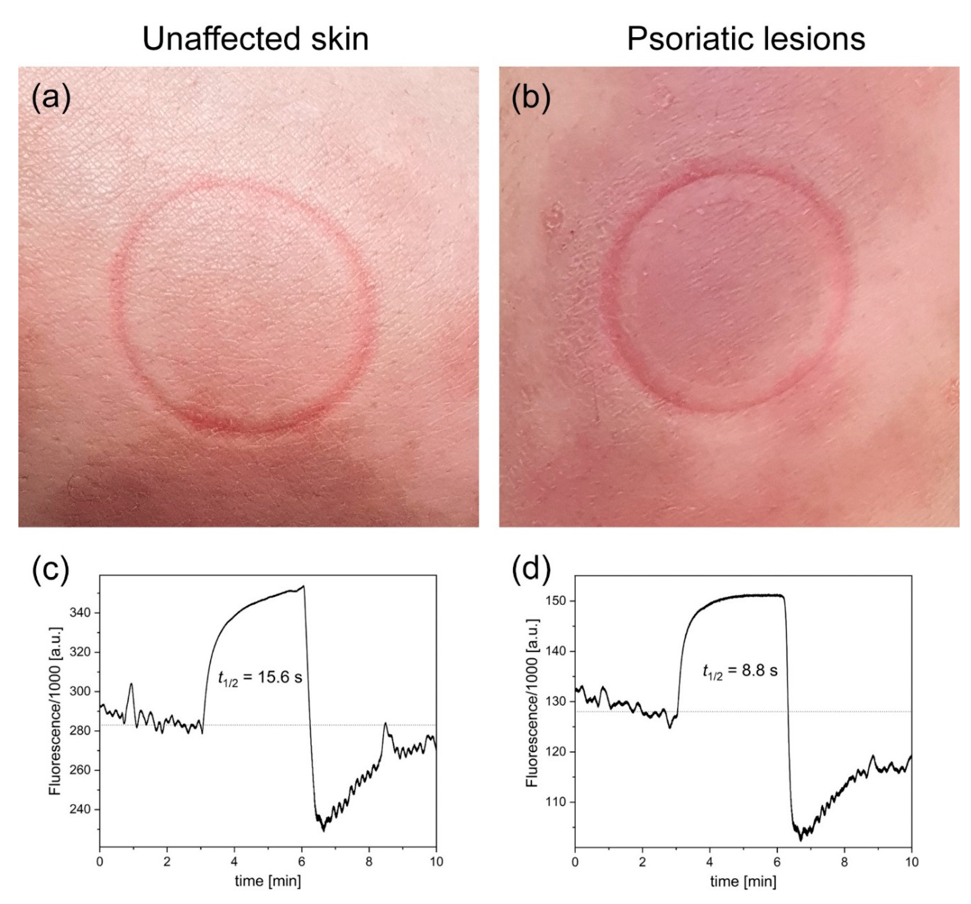 Preprints 82063 g001