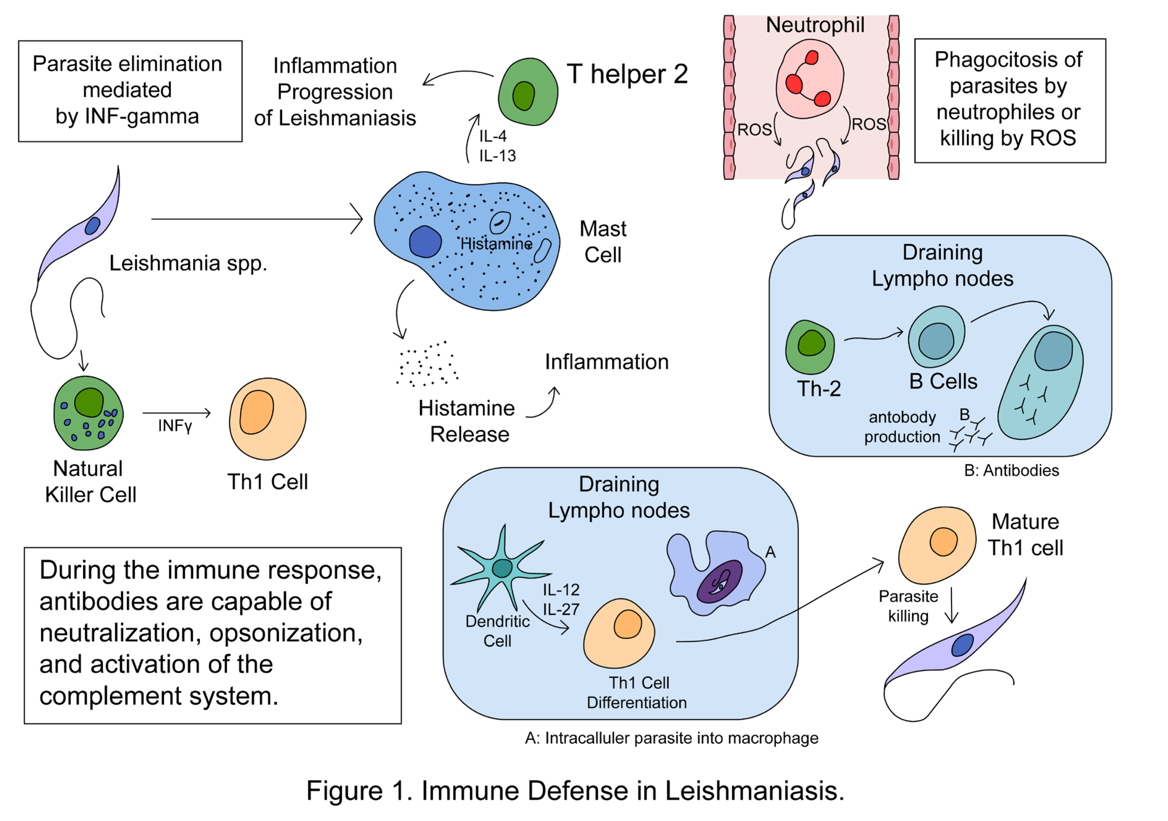 Preprints 115702 g001