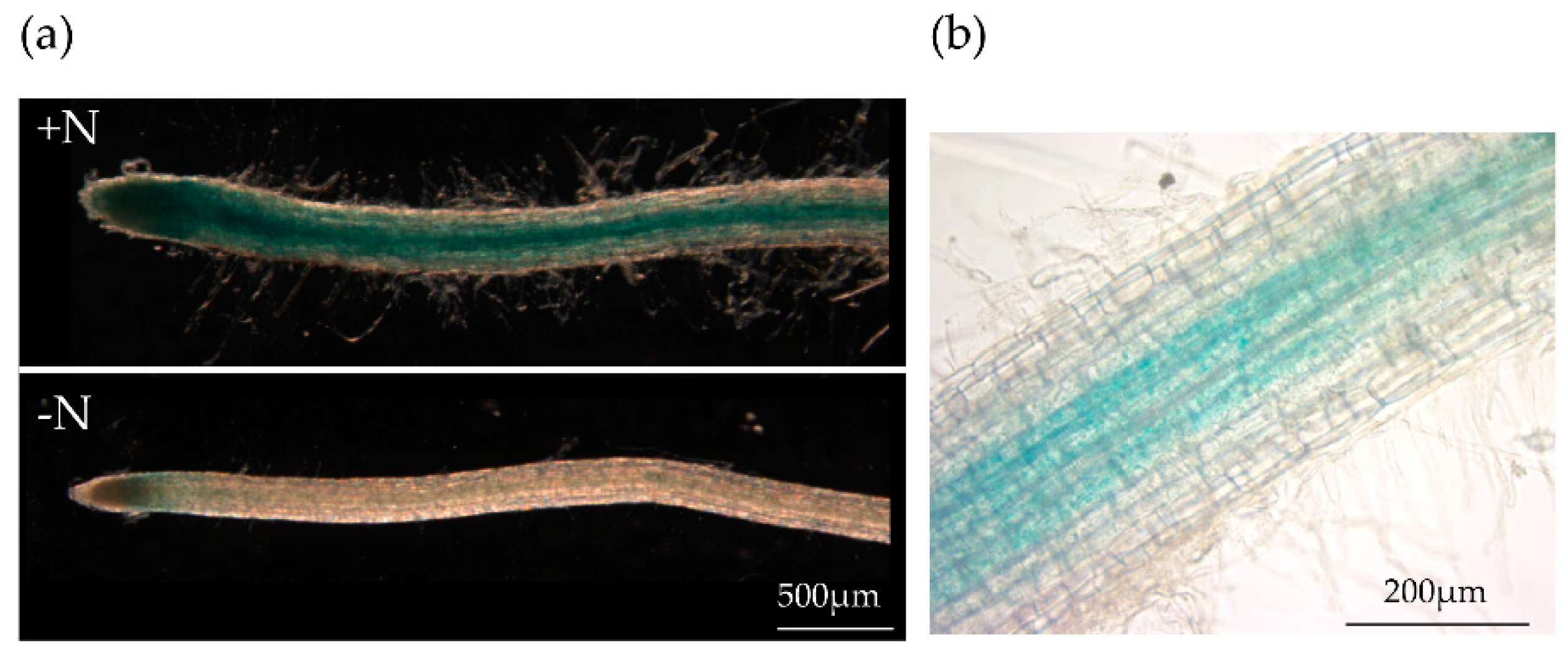 Preprints 83492 g001