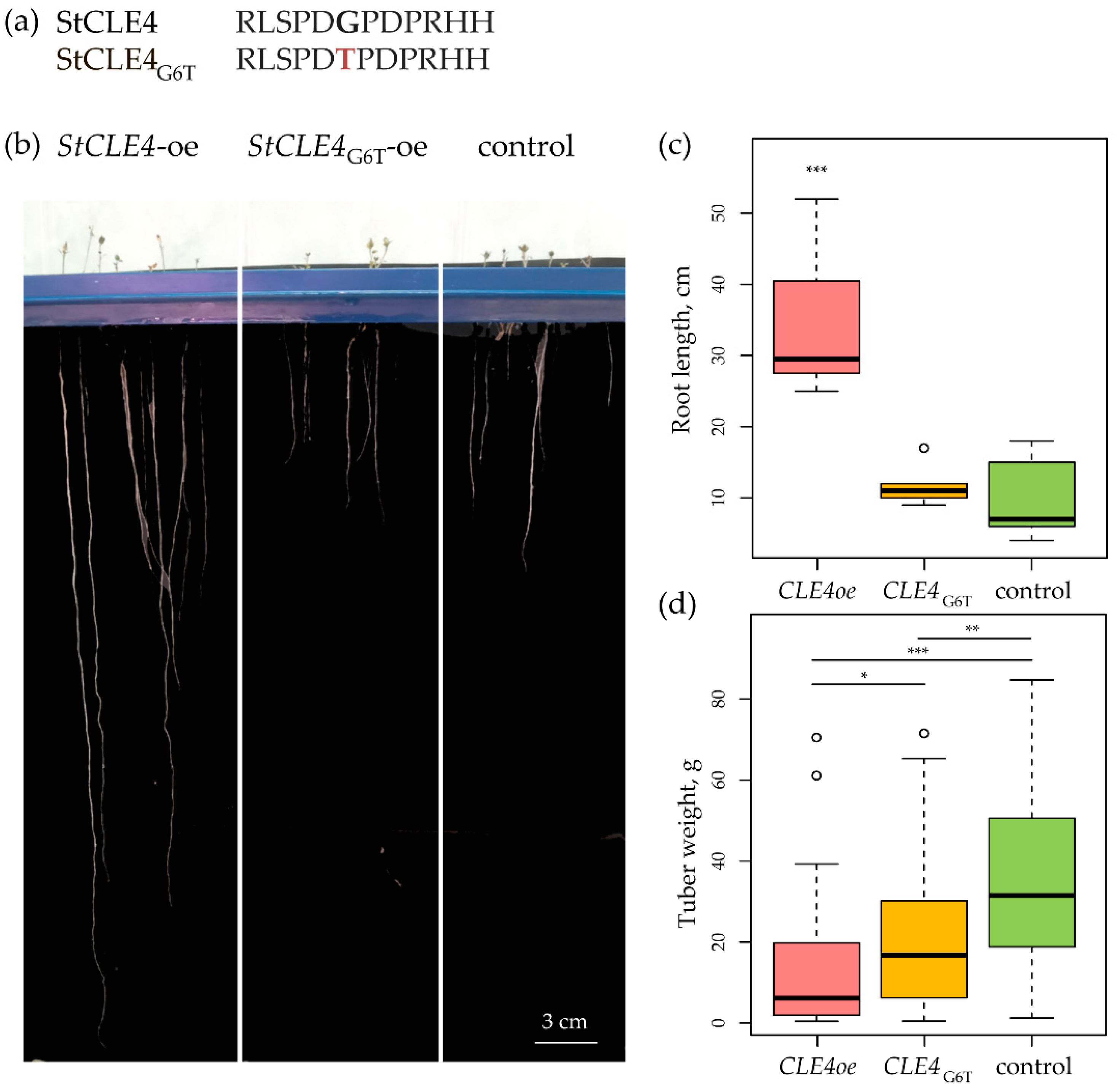 Preprints 83492 g002