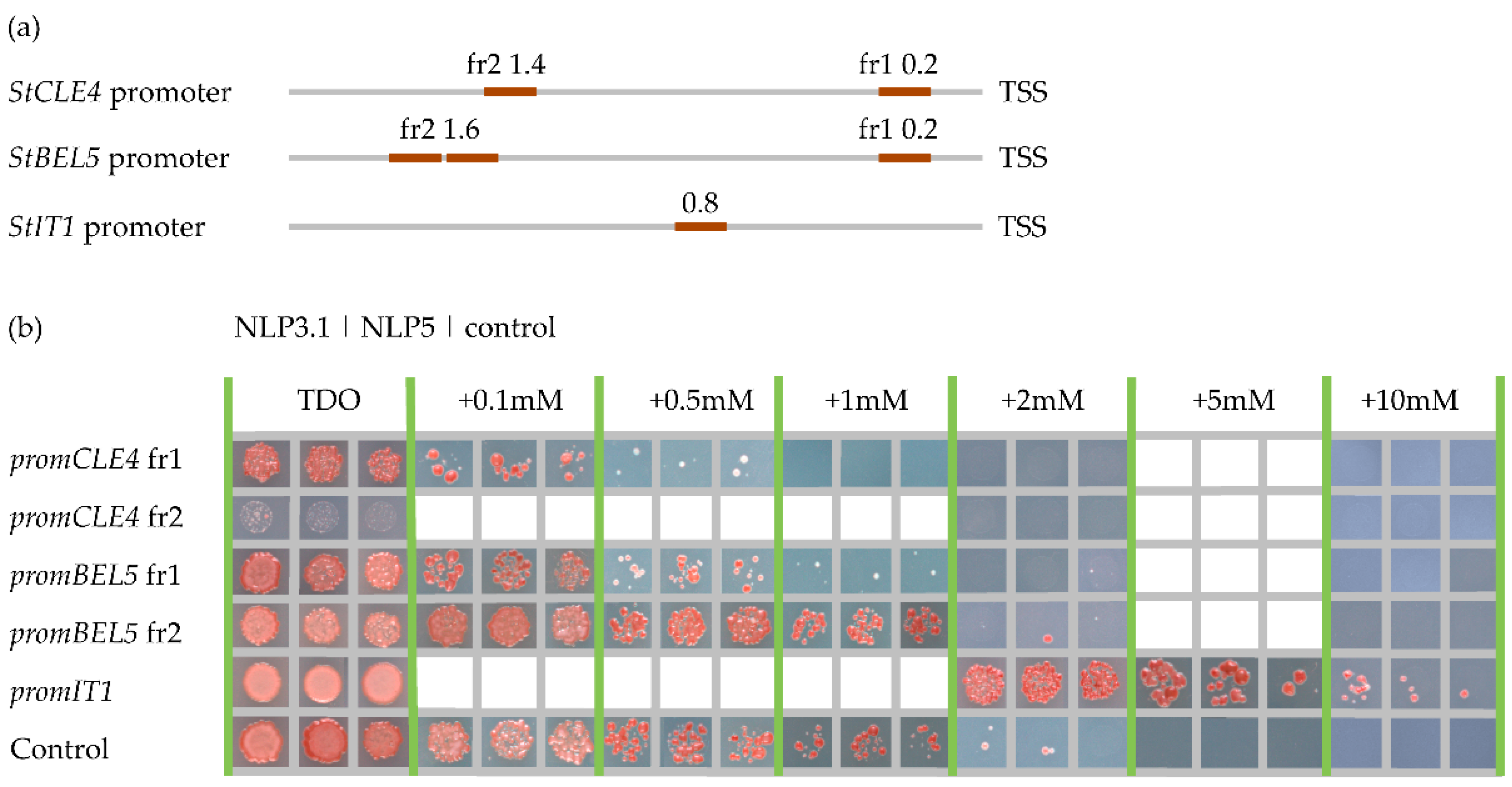 Preprints 83492 g004