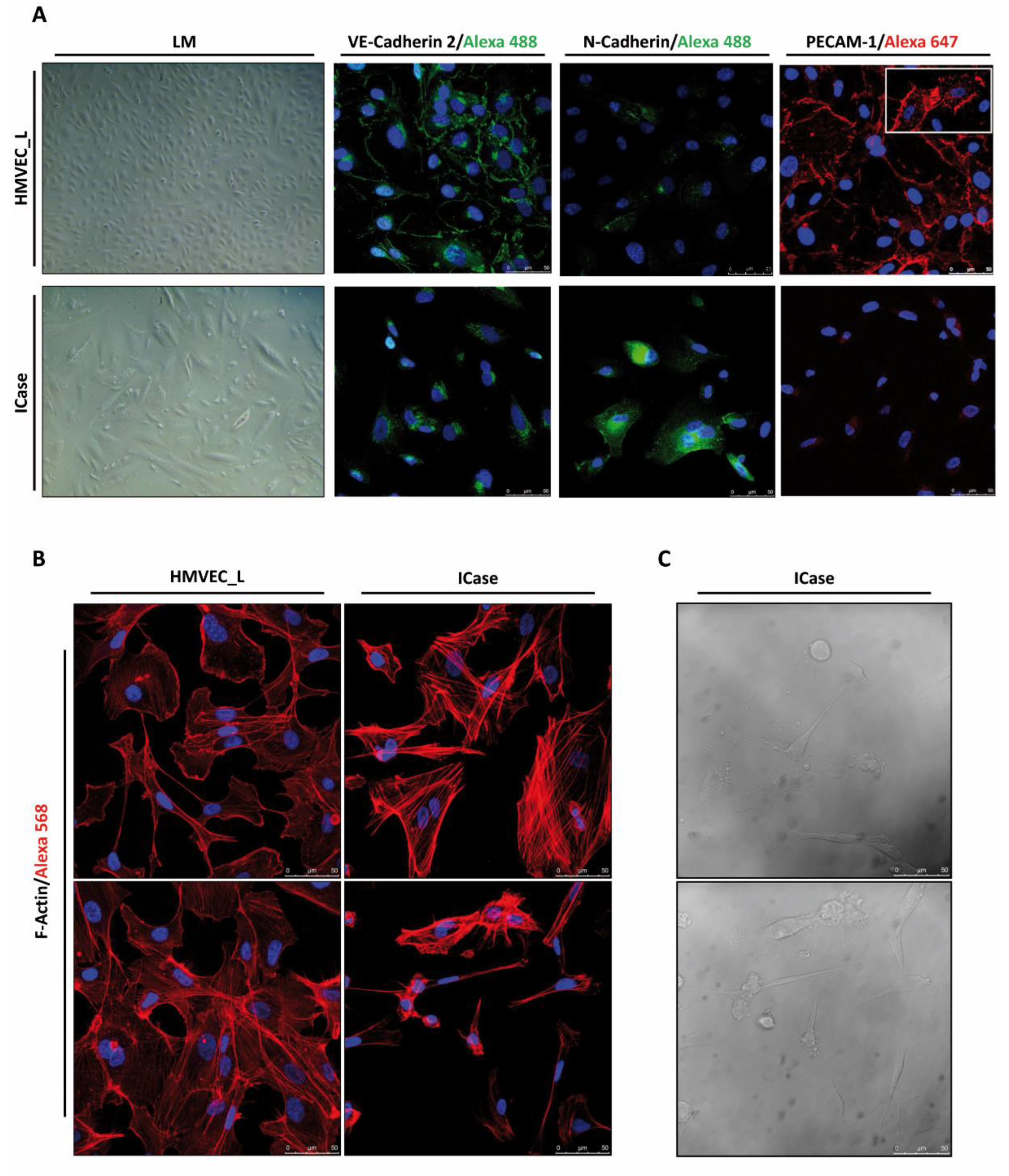 Preprints 104933 g003