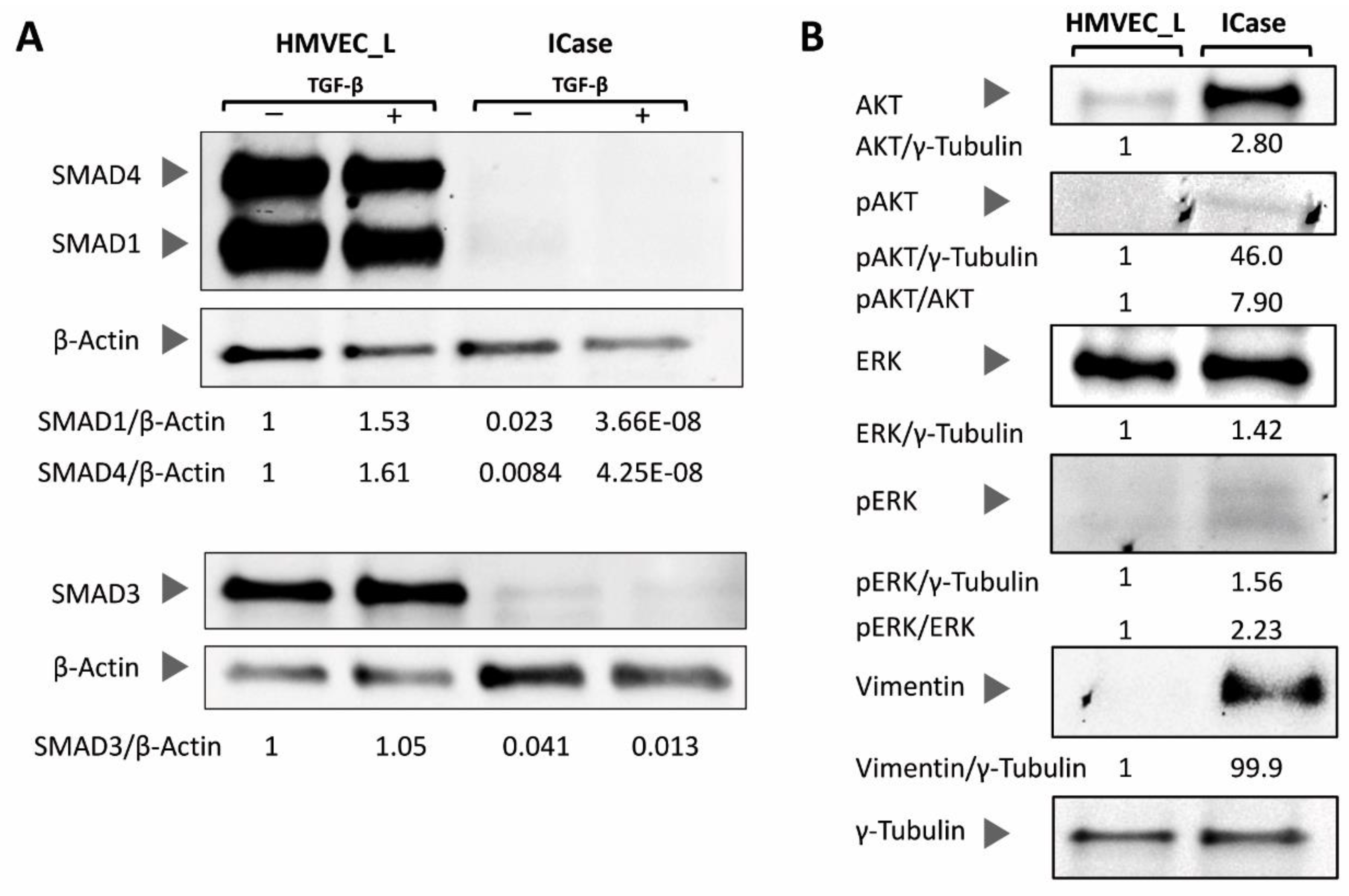 Preprints 104933 g004