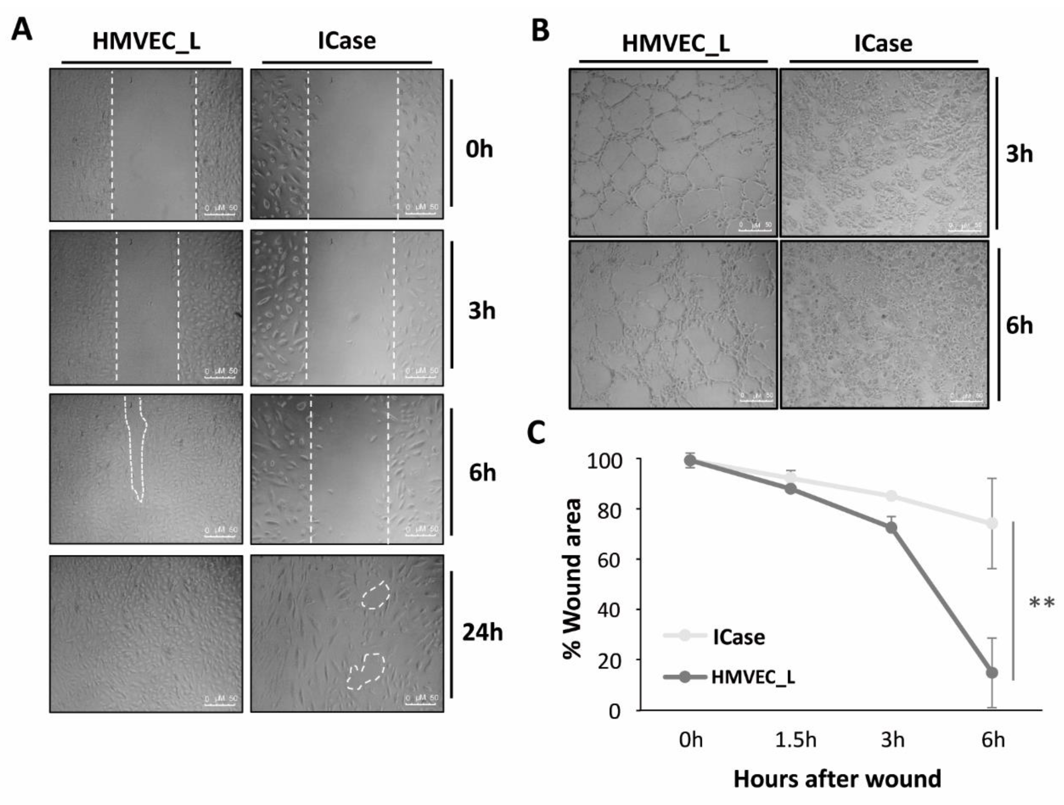 Preprints 104933 g005