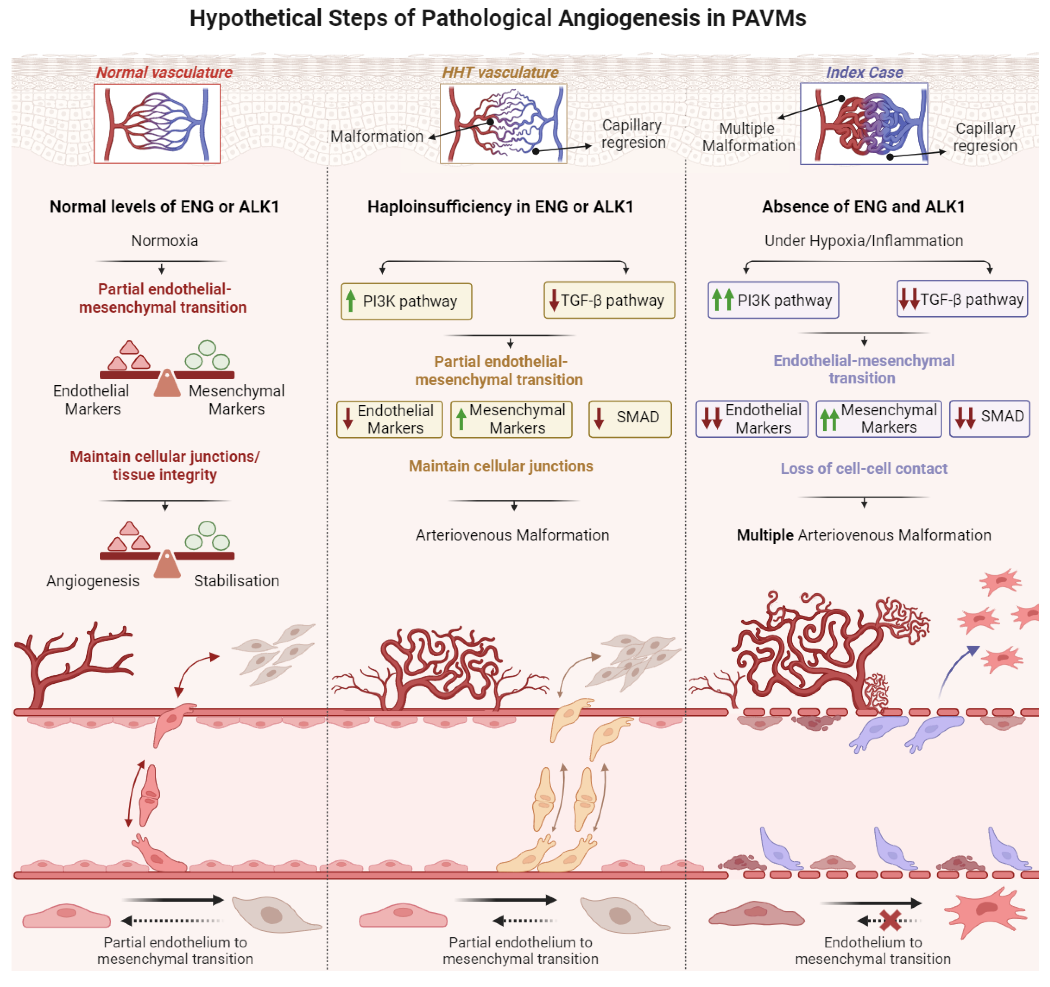 Preprints 104933 g006