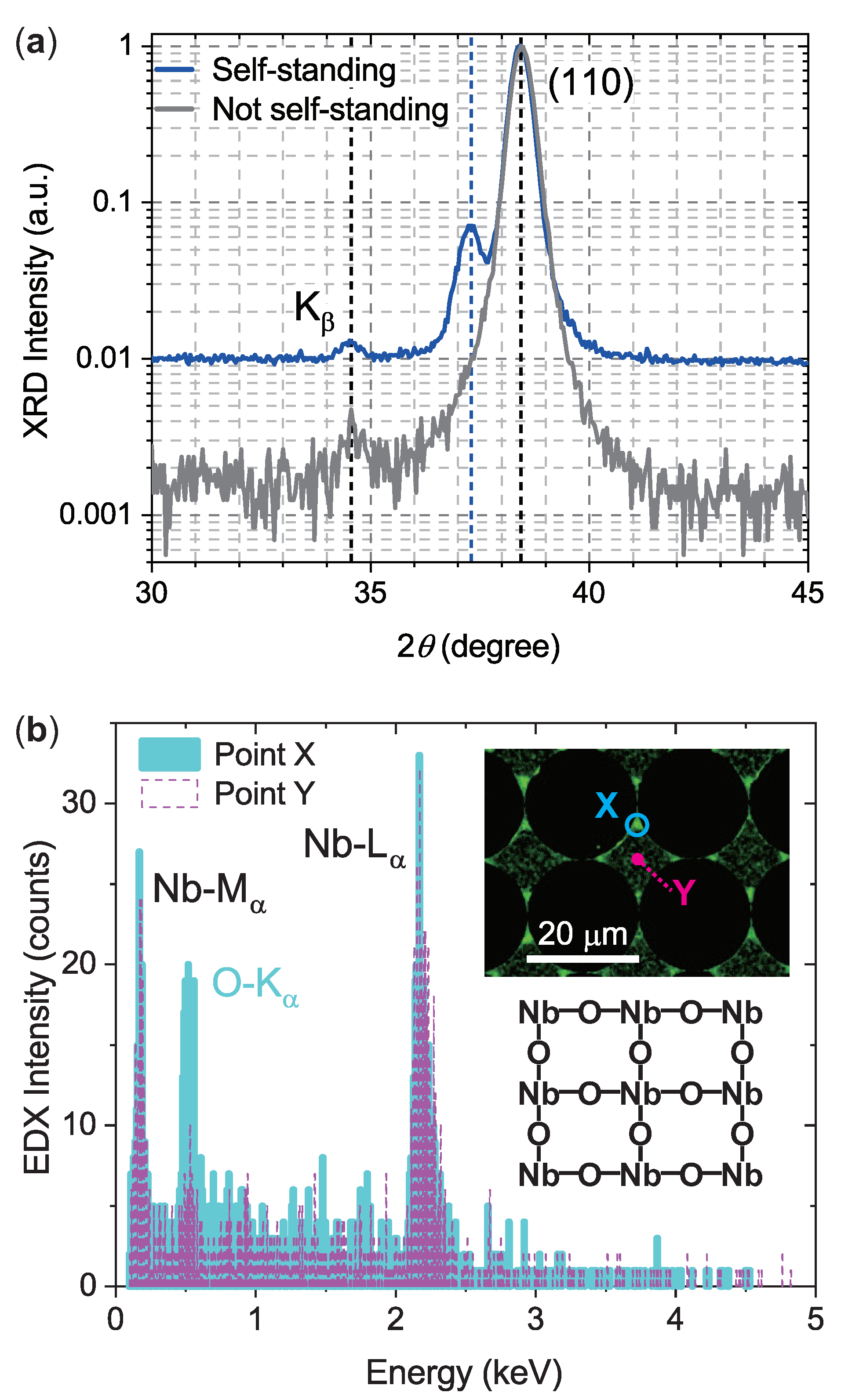 Preprints 85196 g003