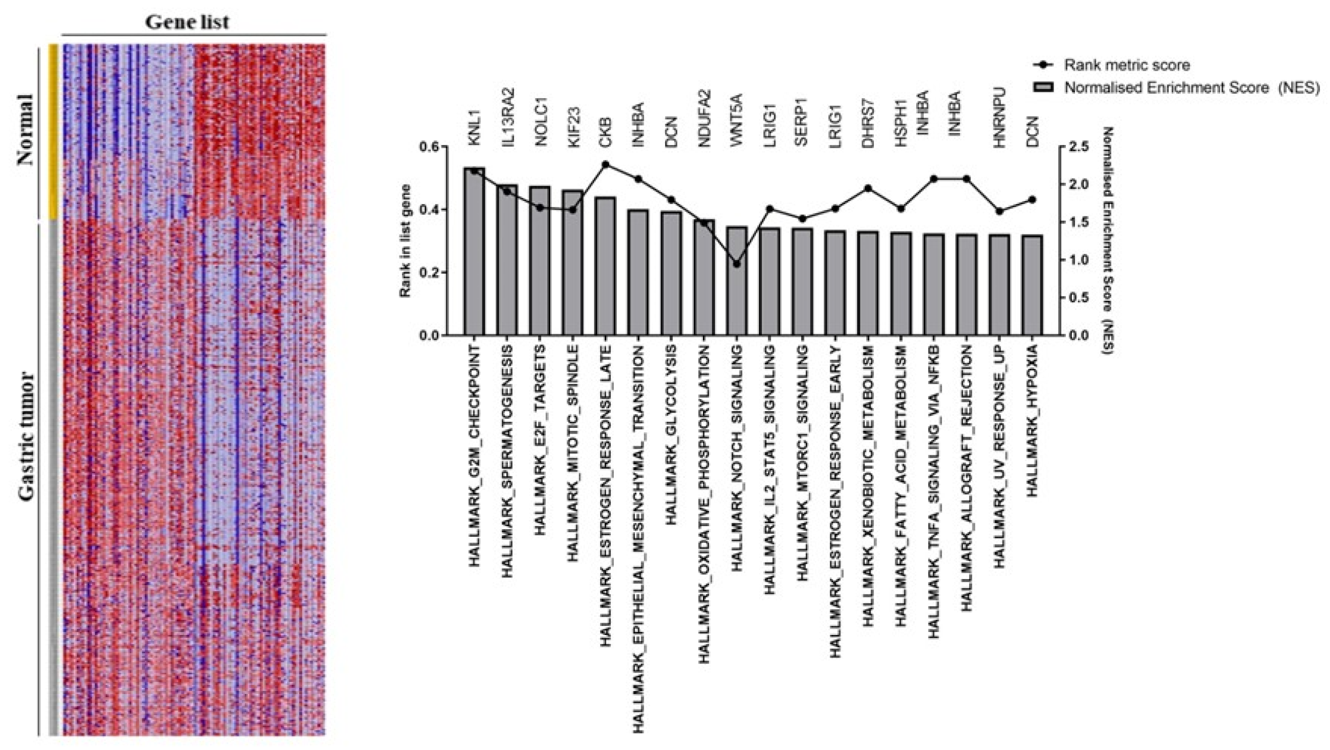 Preprints 82383 g002