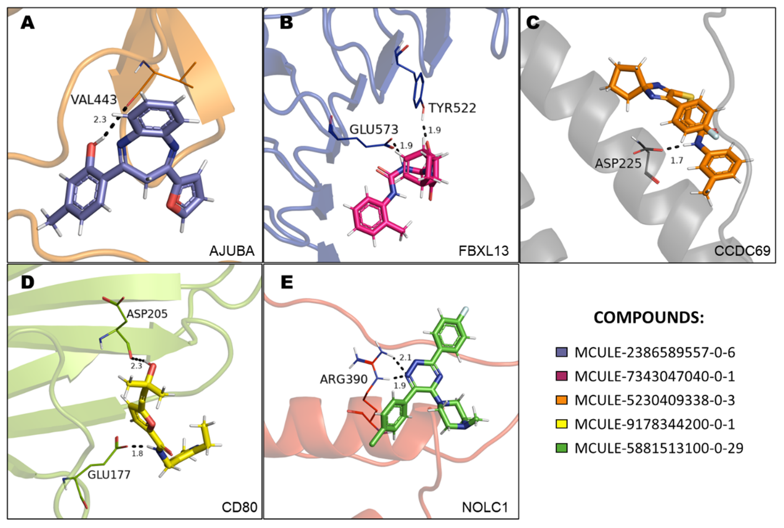 Preprints 82383 g005