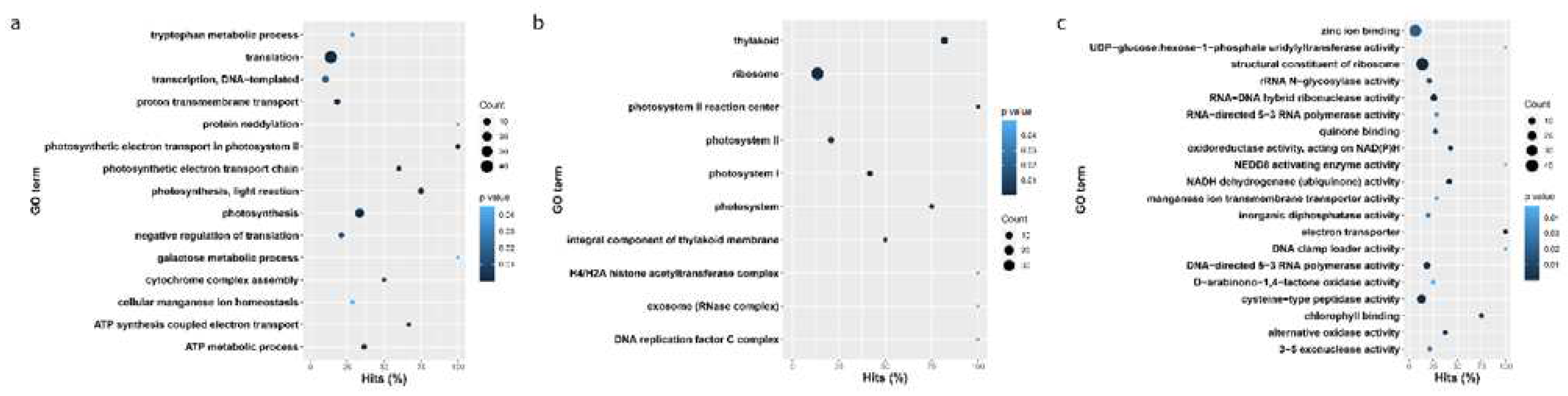 Preprints 85604 g007