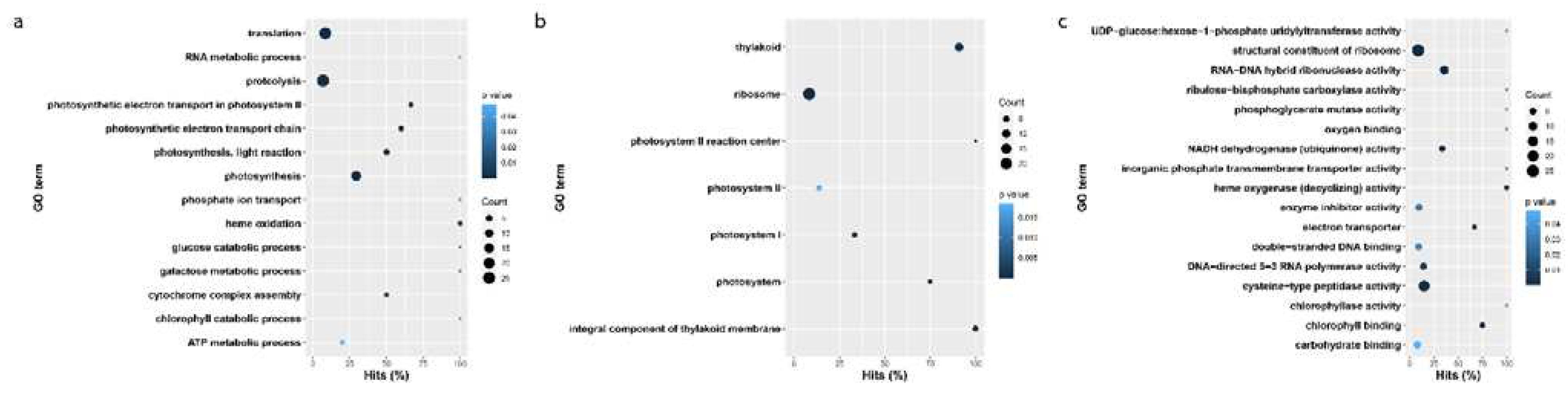 Preprints 85604 g008