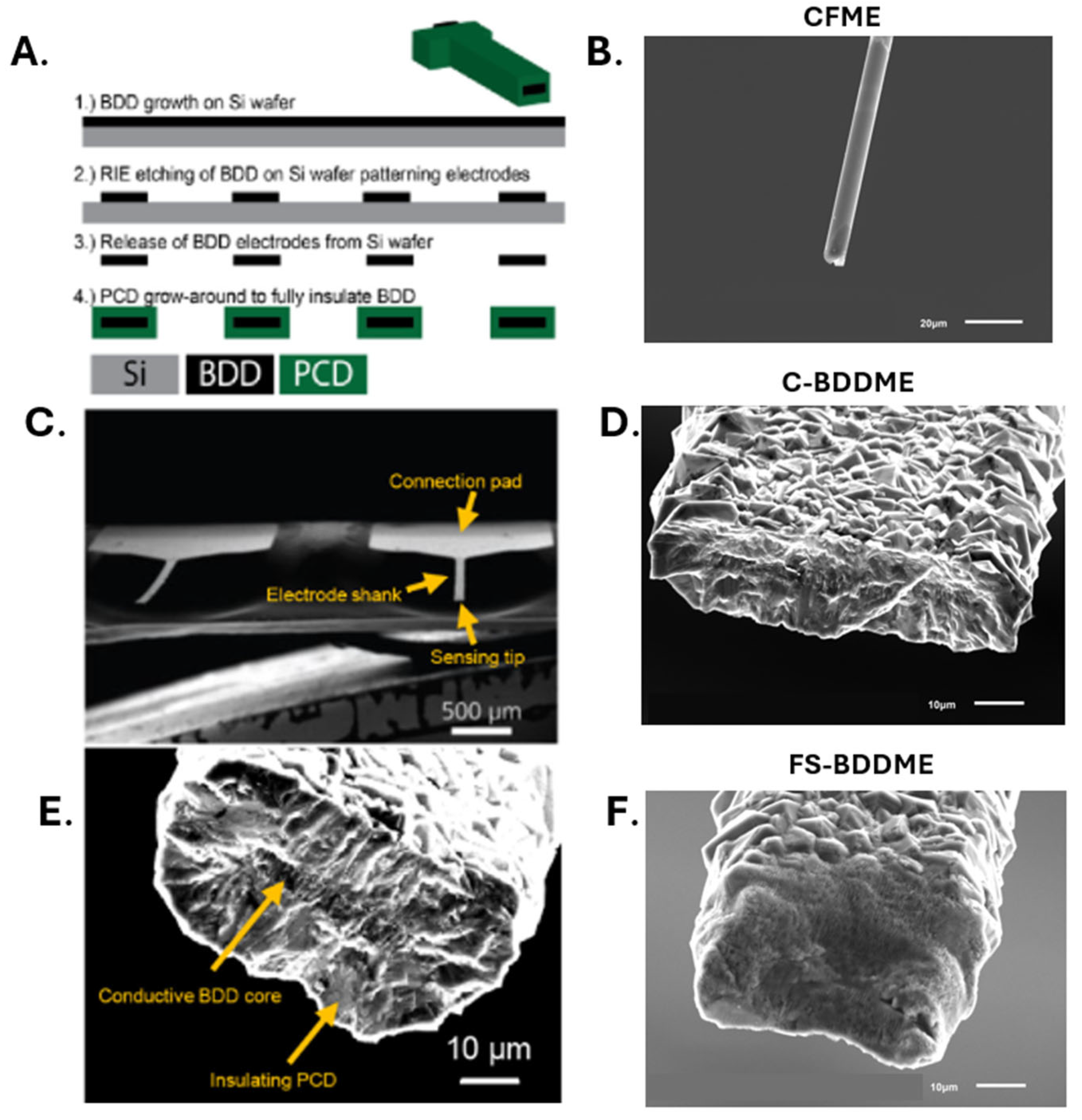 Preprints 110583 g001