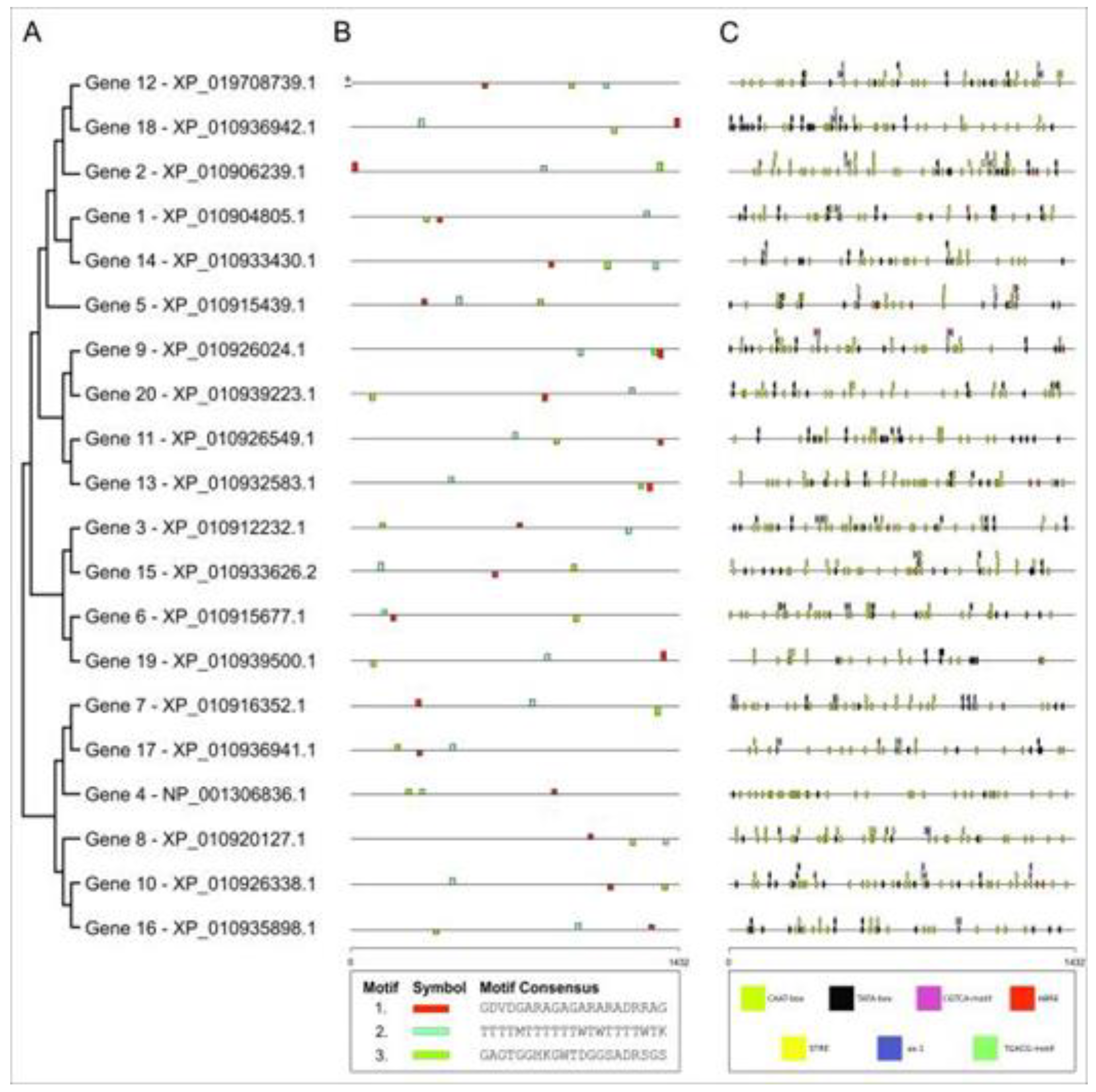 Preprints 78898 g001