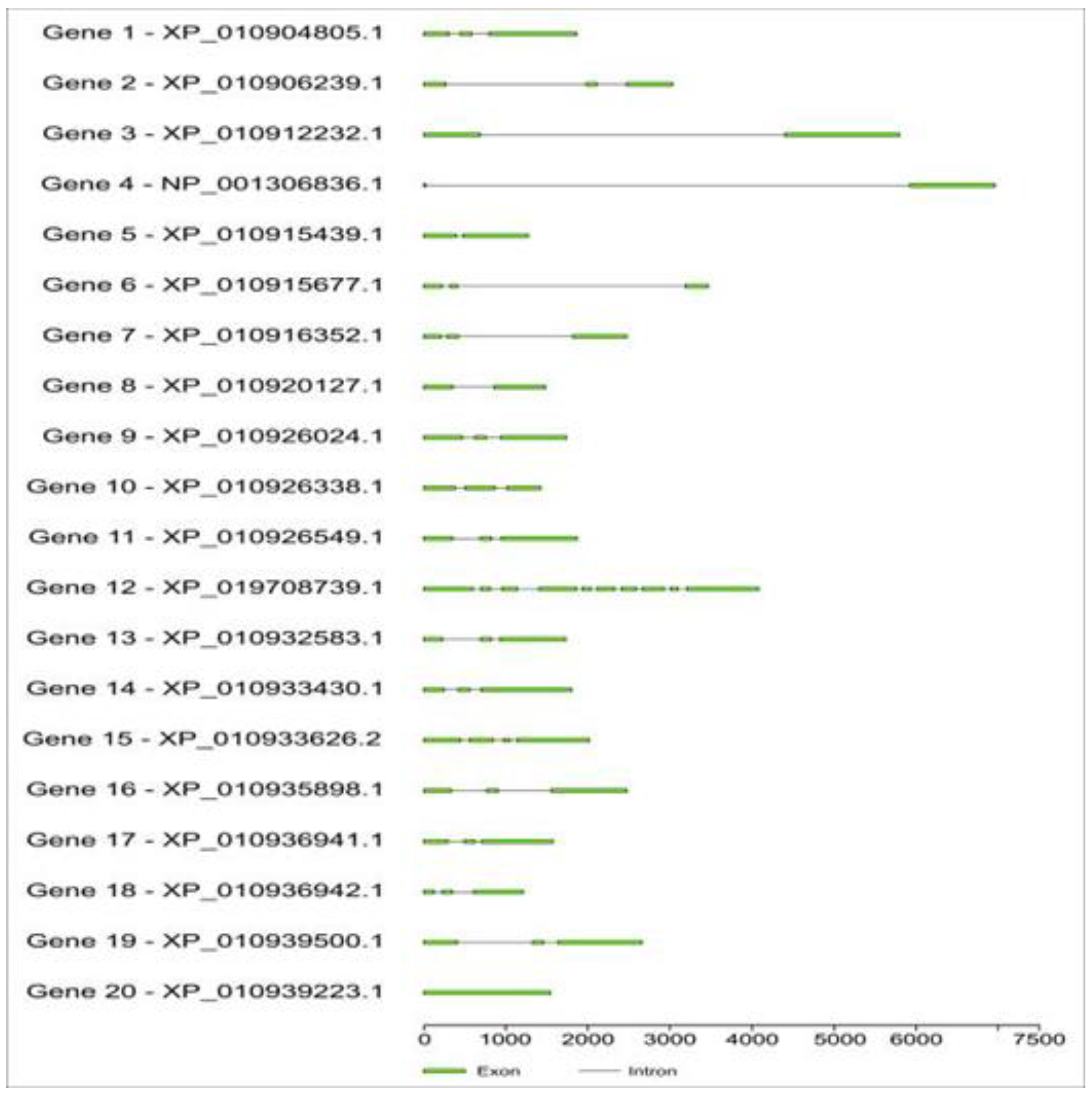 Preprints 78898 g002