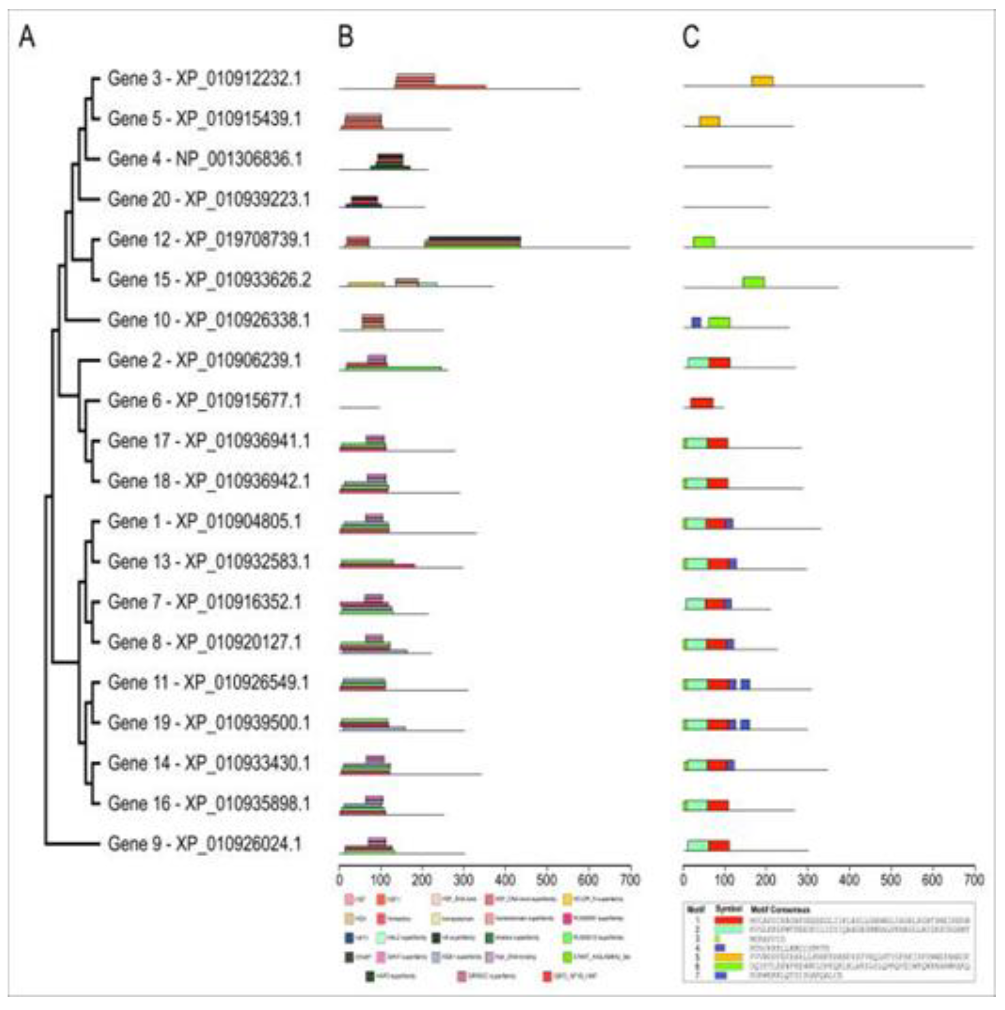 Preprints 78898 g003