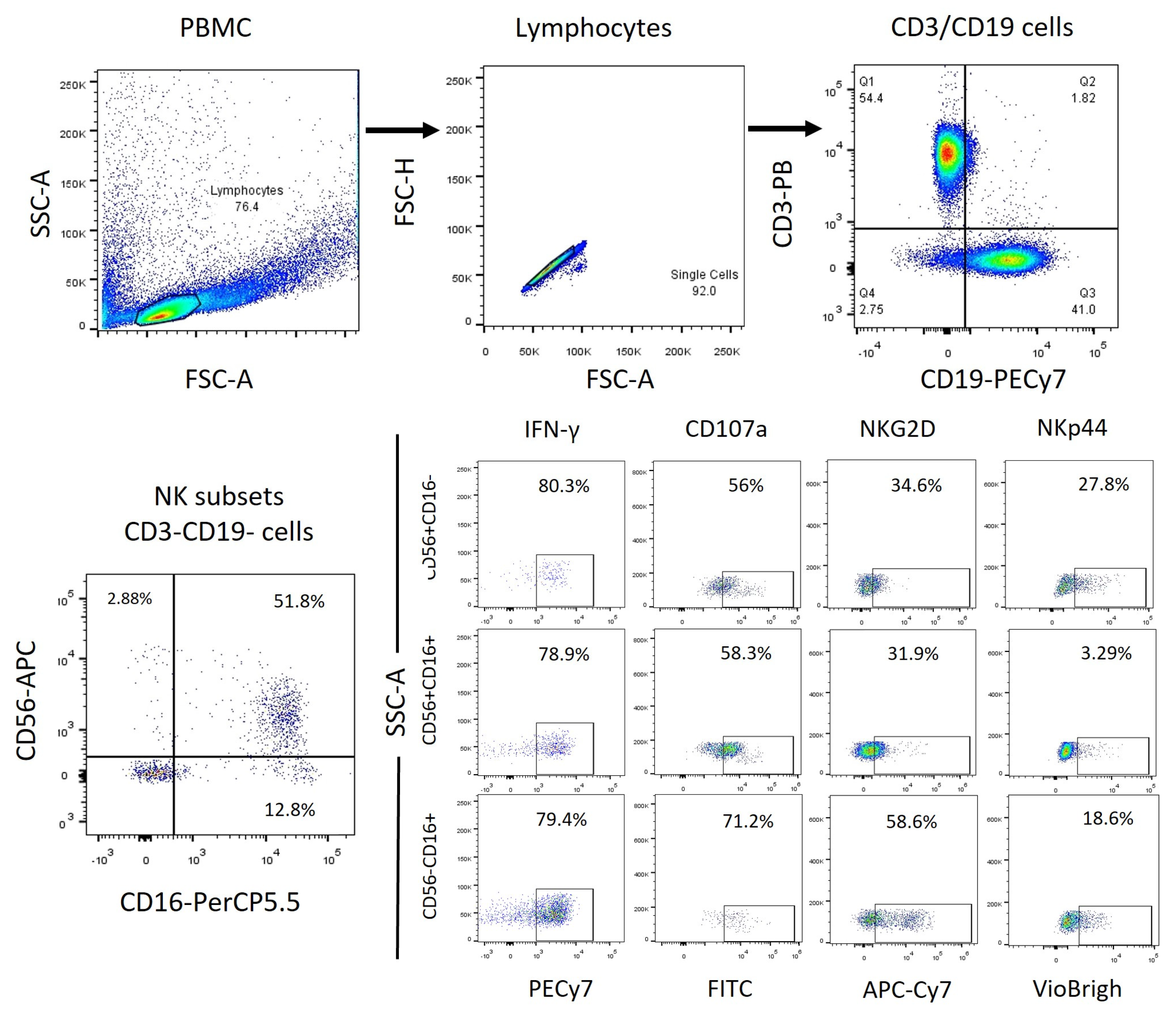 Preprints 104586 g001