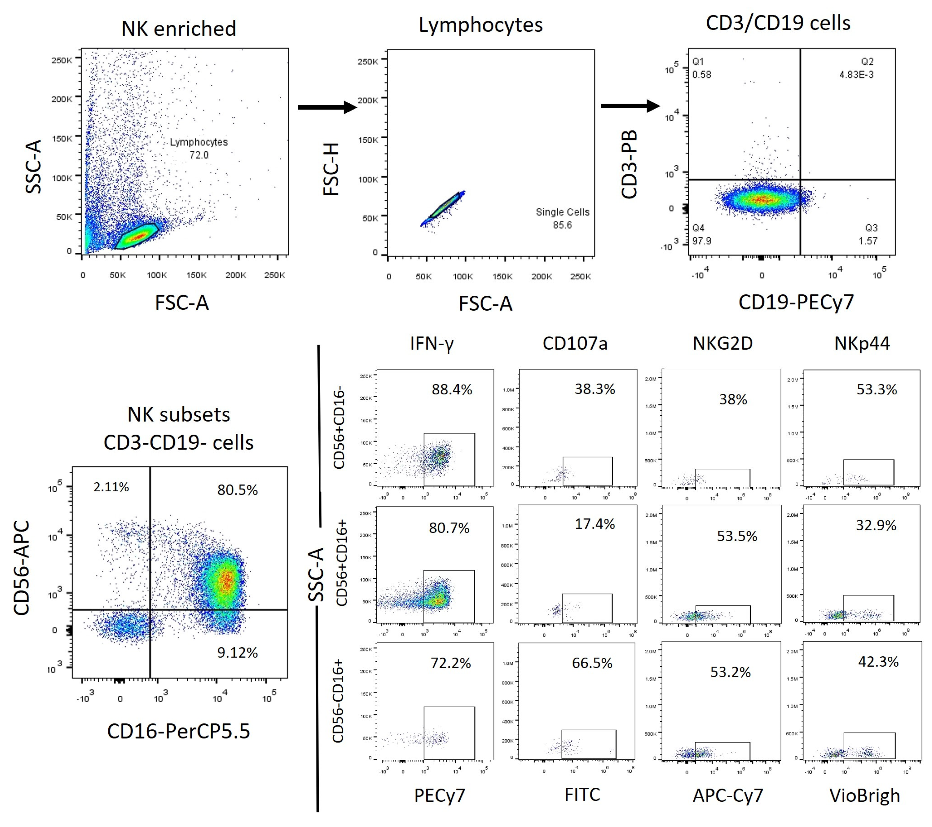 Preprints 104586 g002