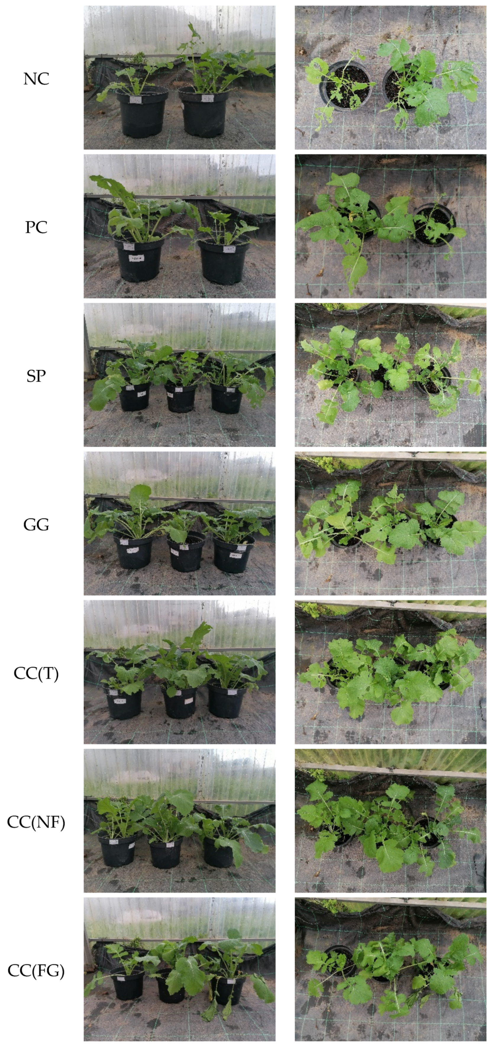 Preprints 91786 g003