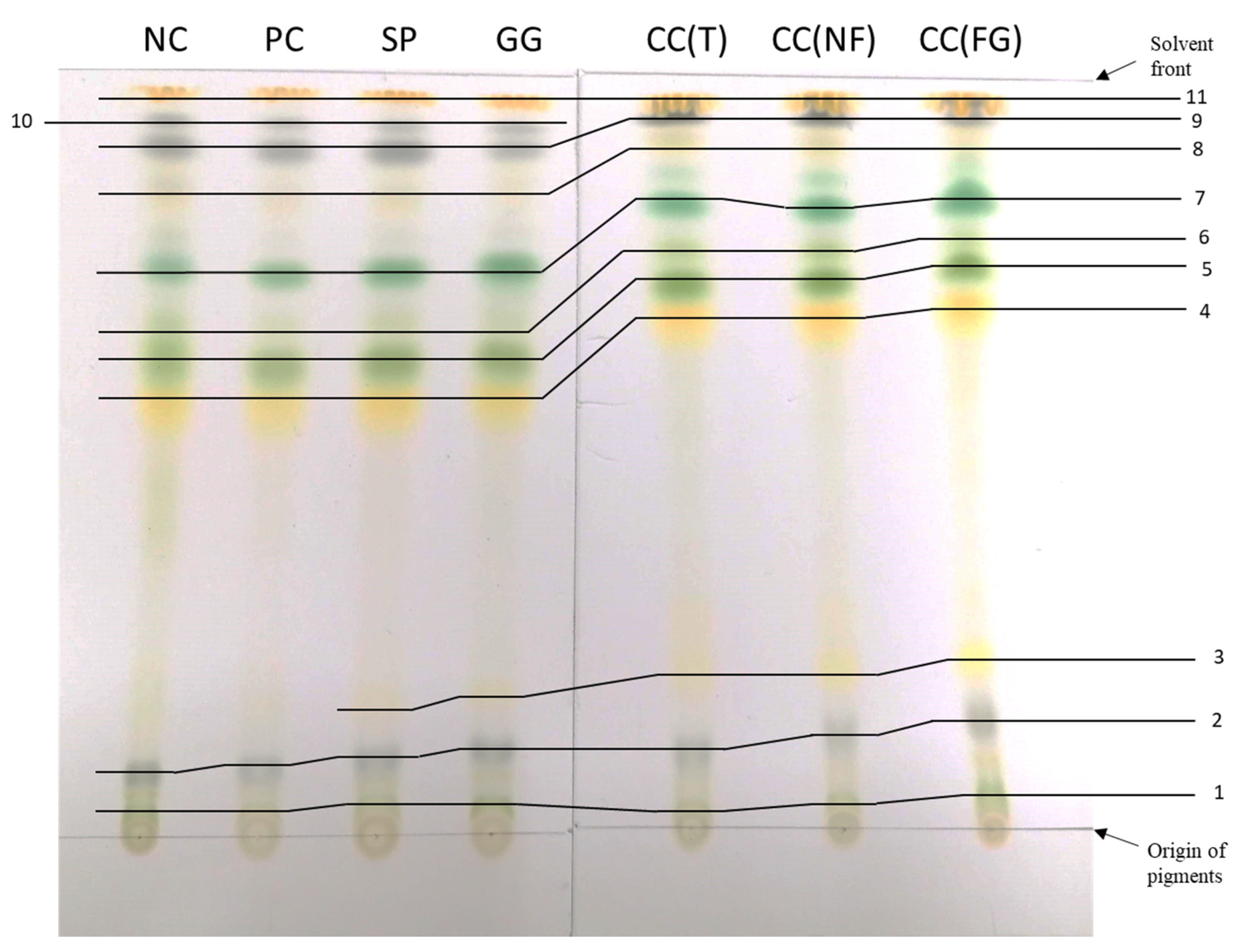 Preprints 91786 g009