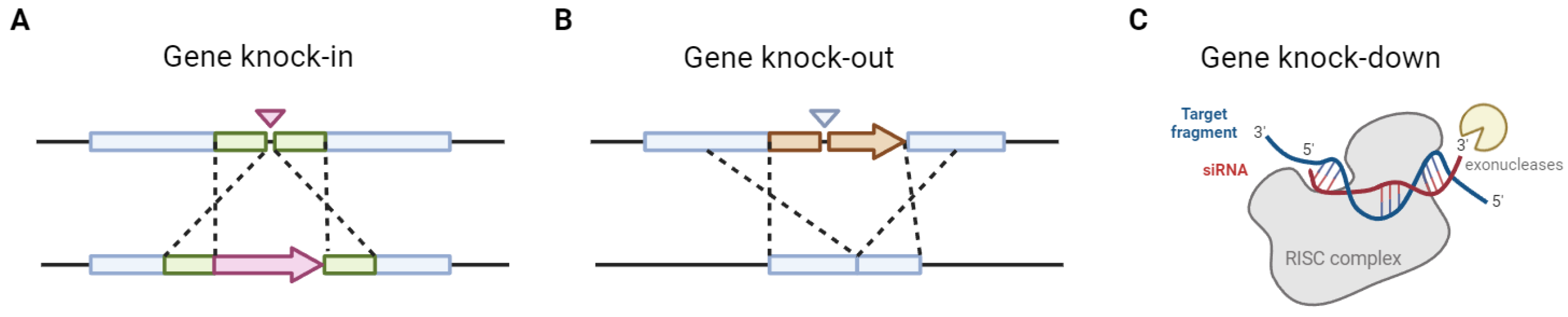 Preprints 119206 g001