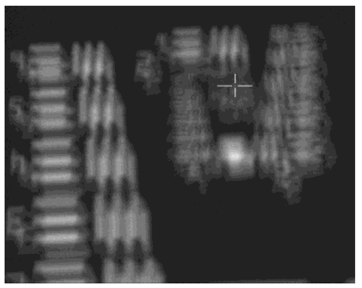 Preprints 94850 g002