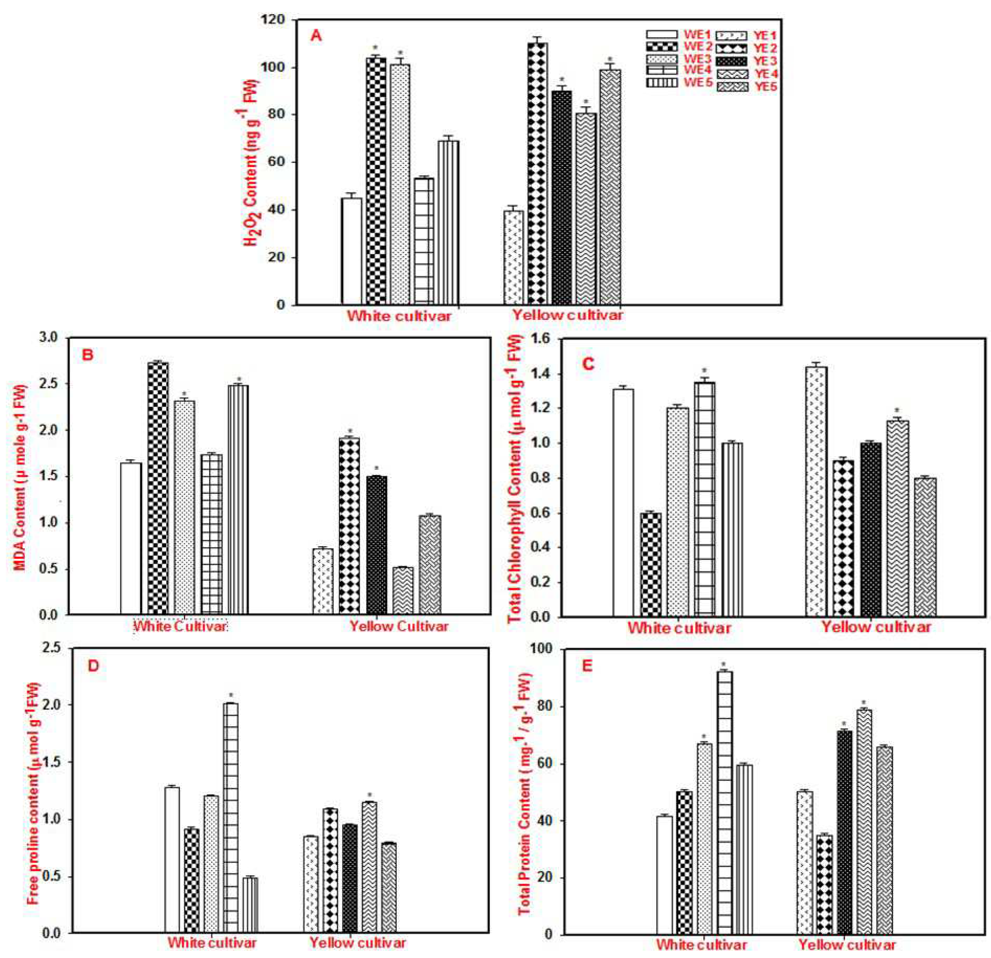 Preprints 88801 g002