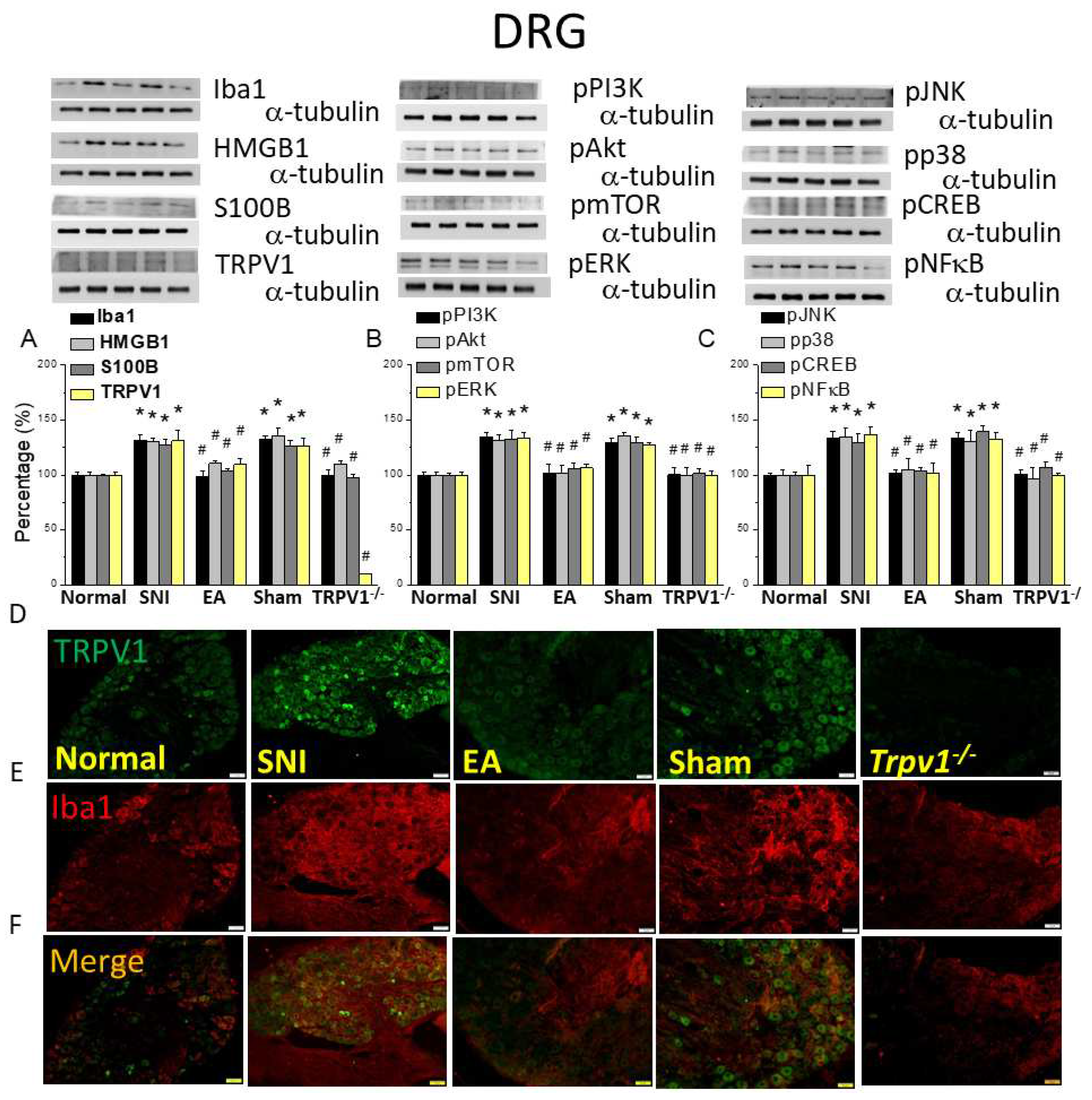 Preprints 94855 g003