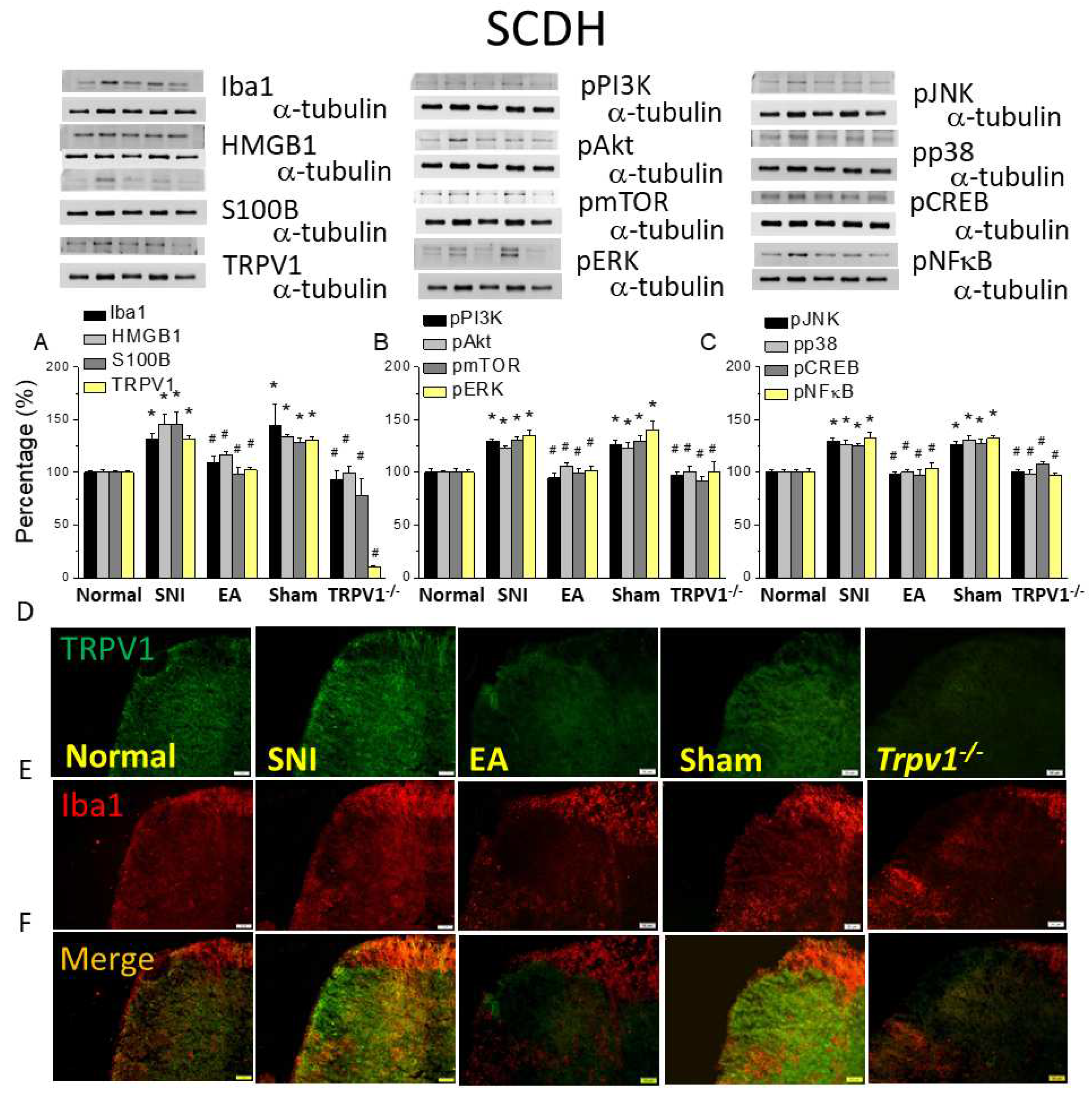 Preprints 94855 g004