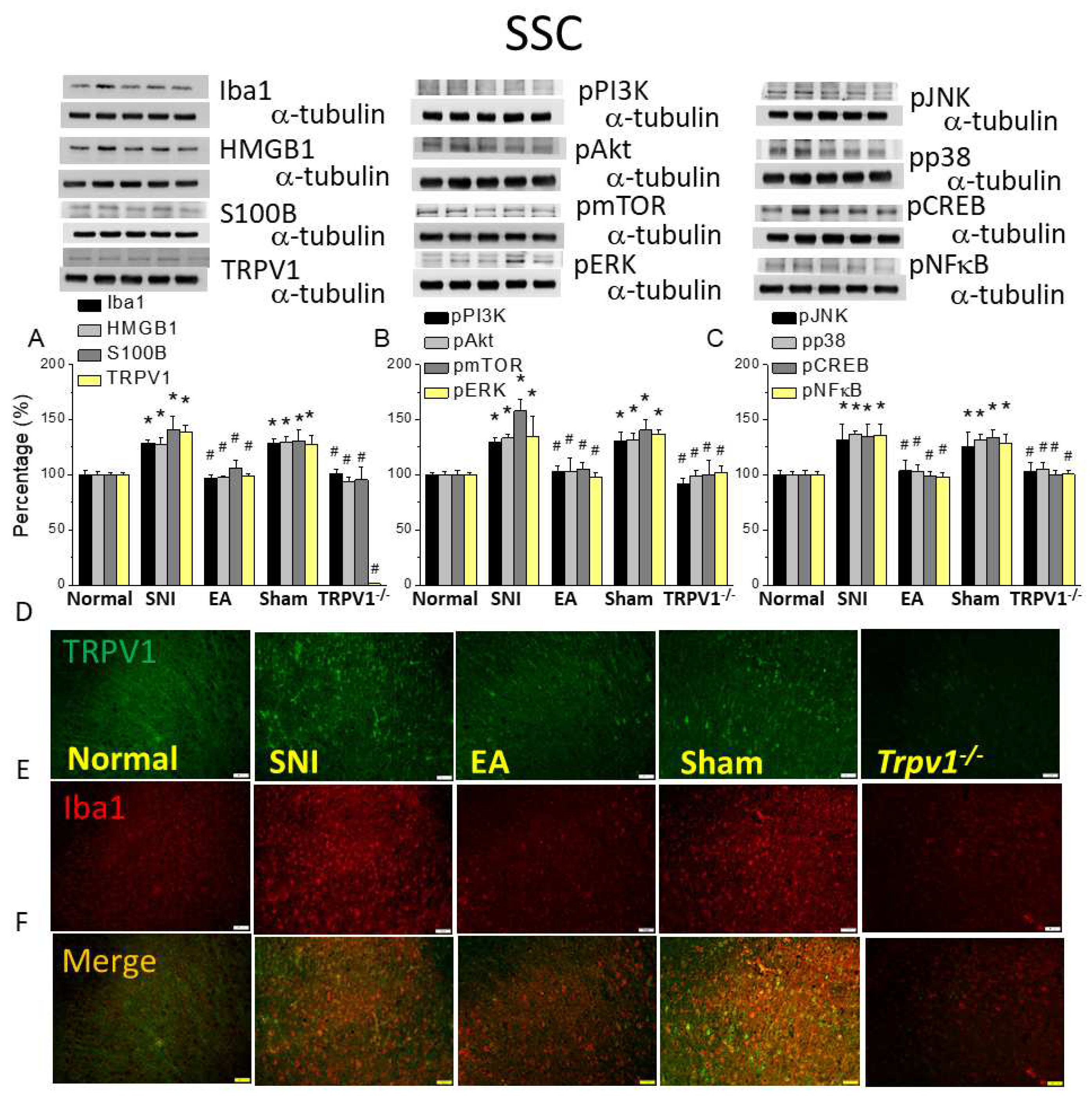 Preprints 94855 g005