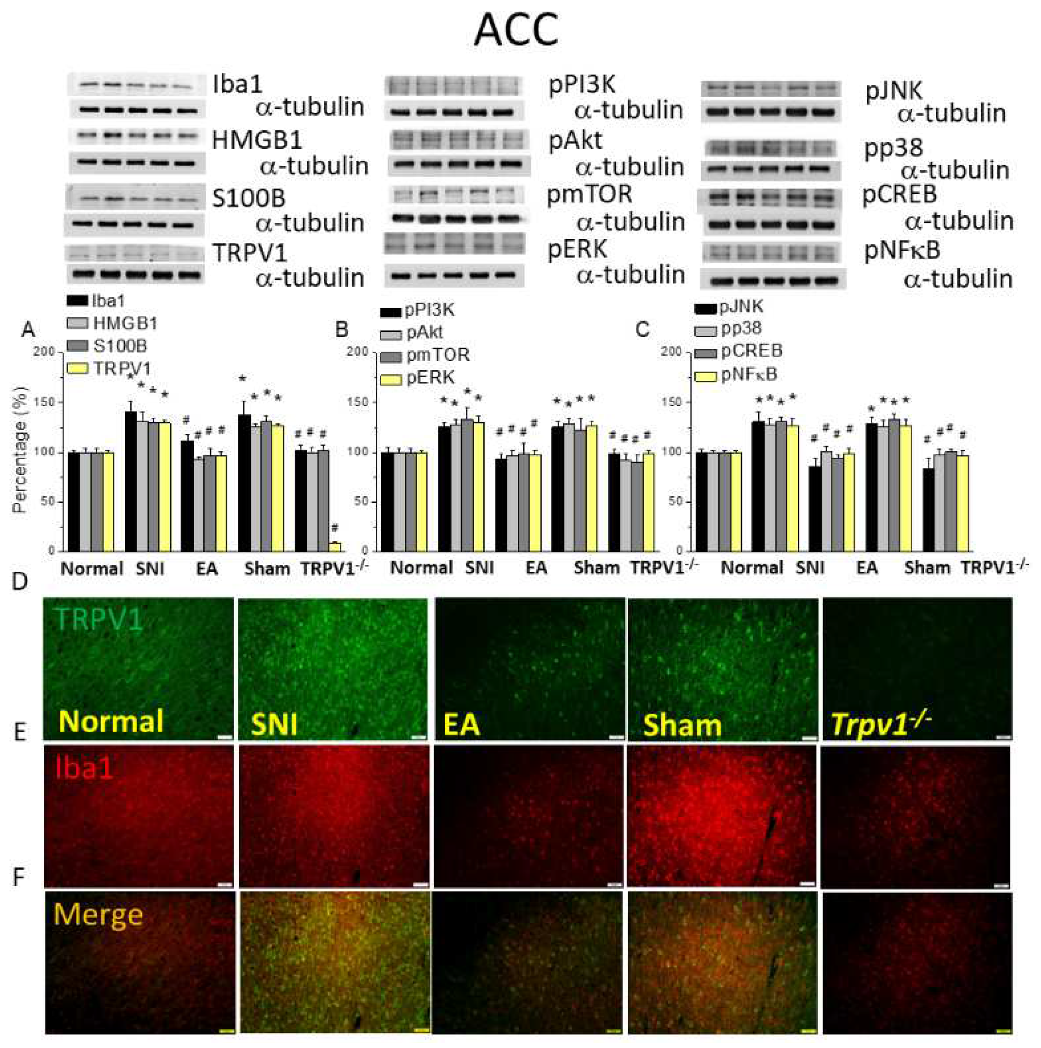 Preprints 94855 g006