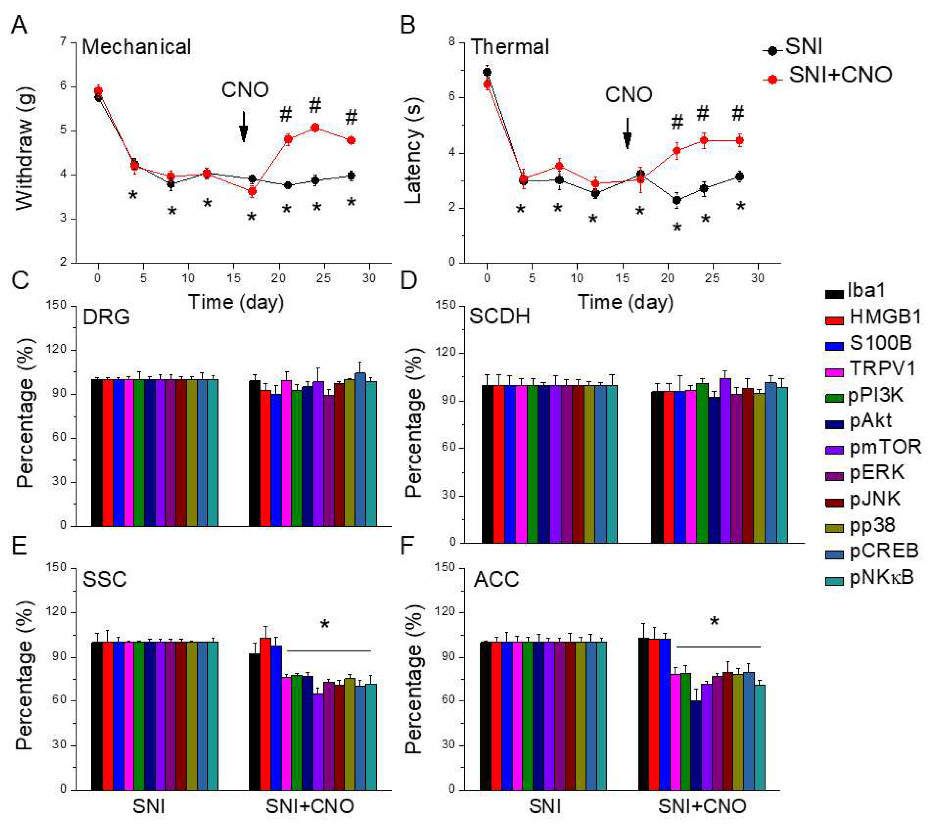 Preprints 94855 g007