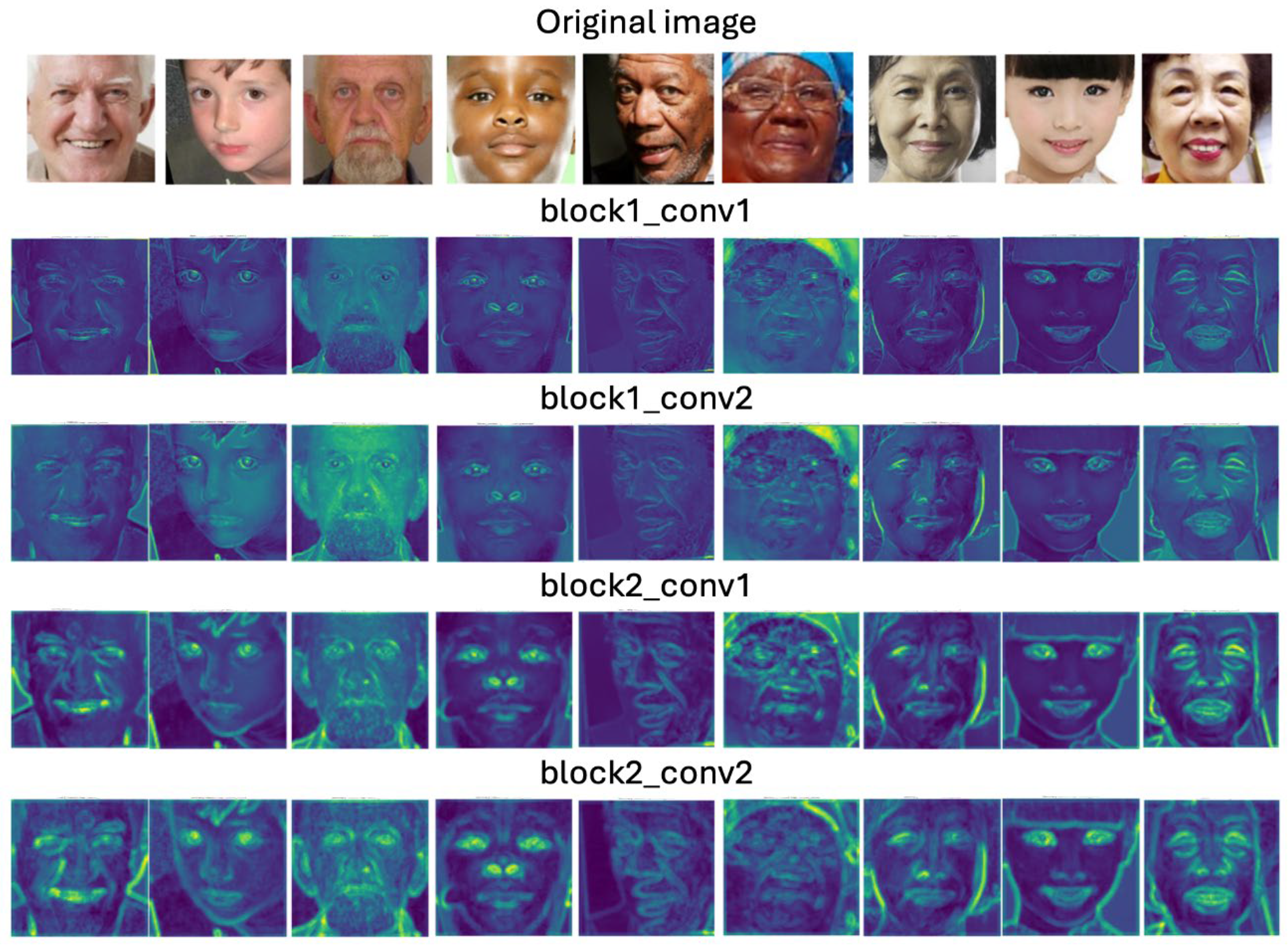 Preprints 110138 g003