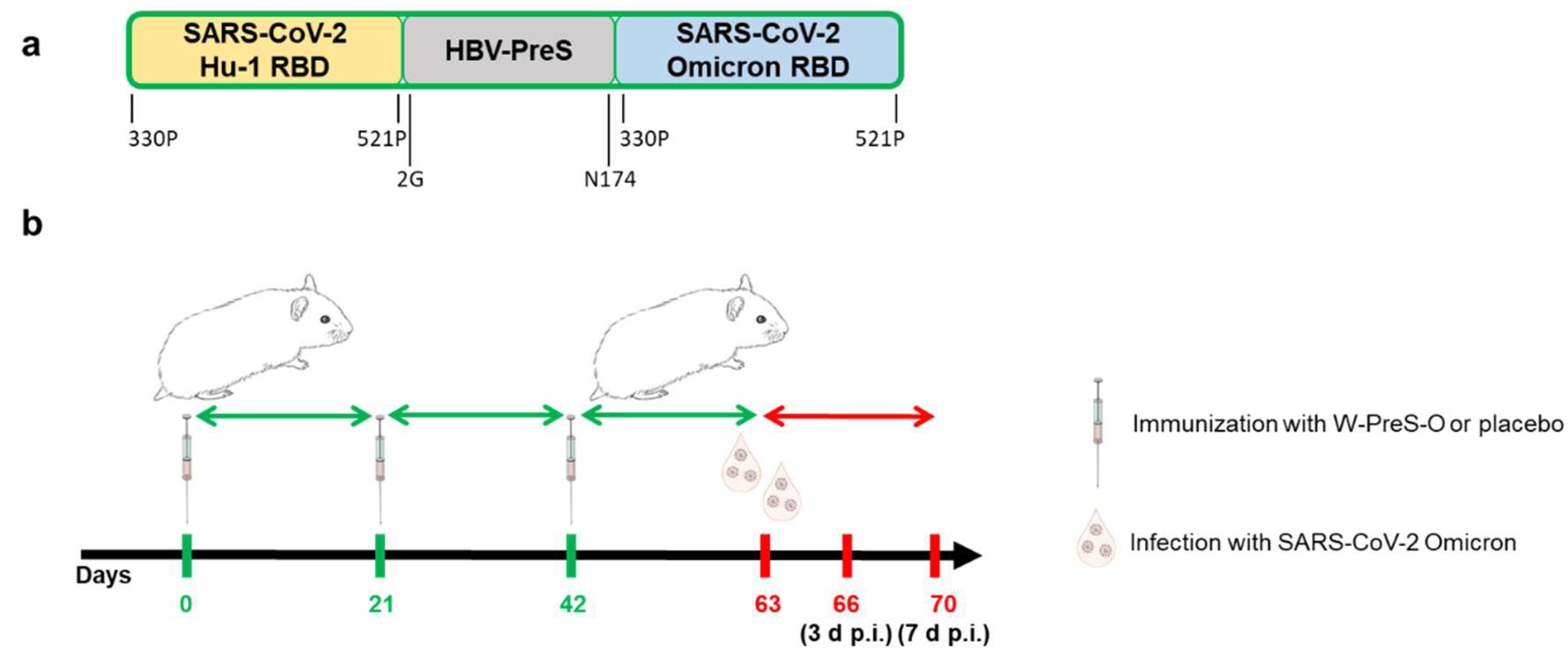 Preprints 107693 g001