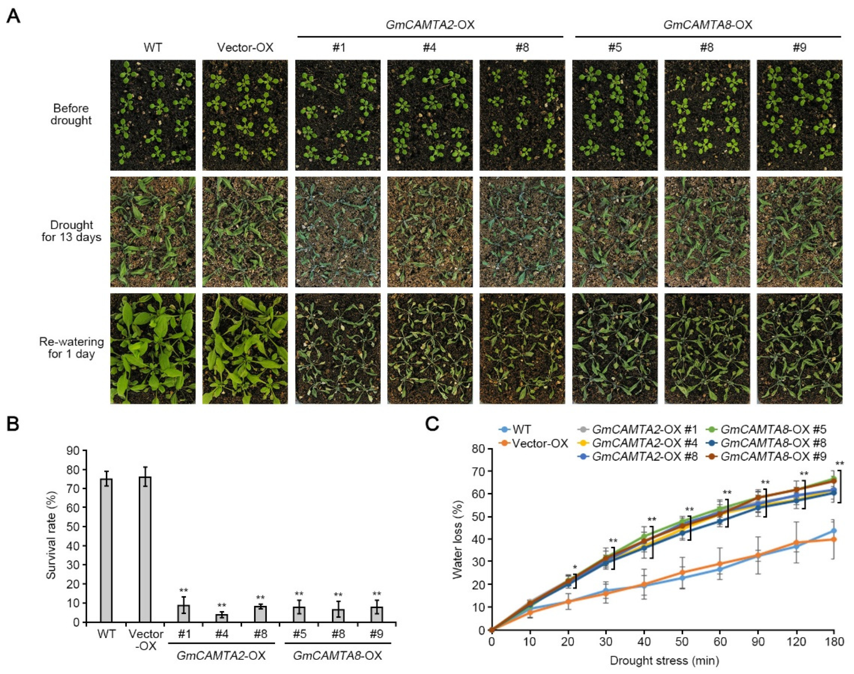 Preprints 74731 g004