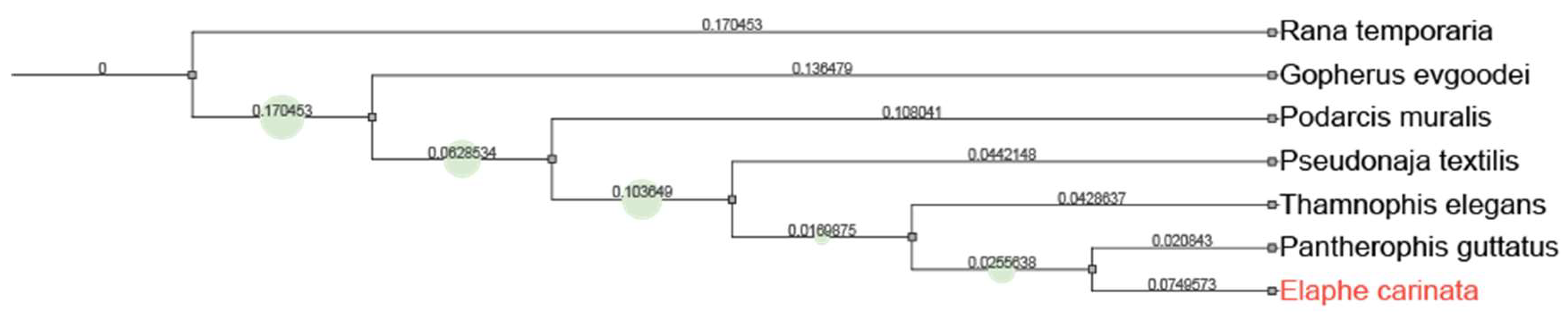 Preprints 83265 g006