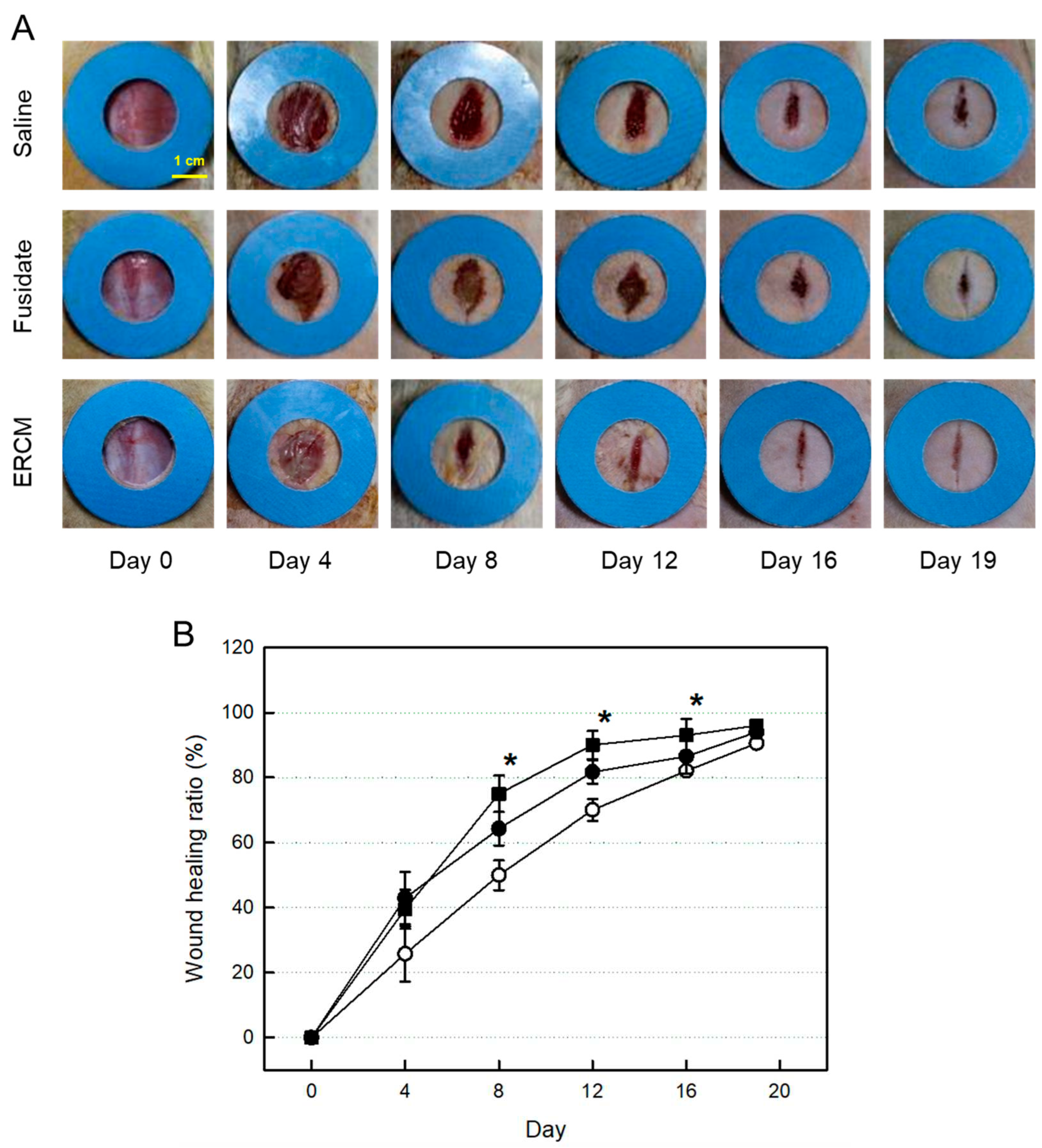 Preprints 81099 g004