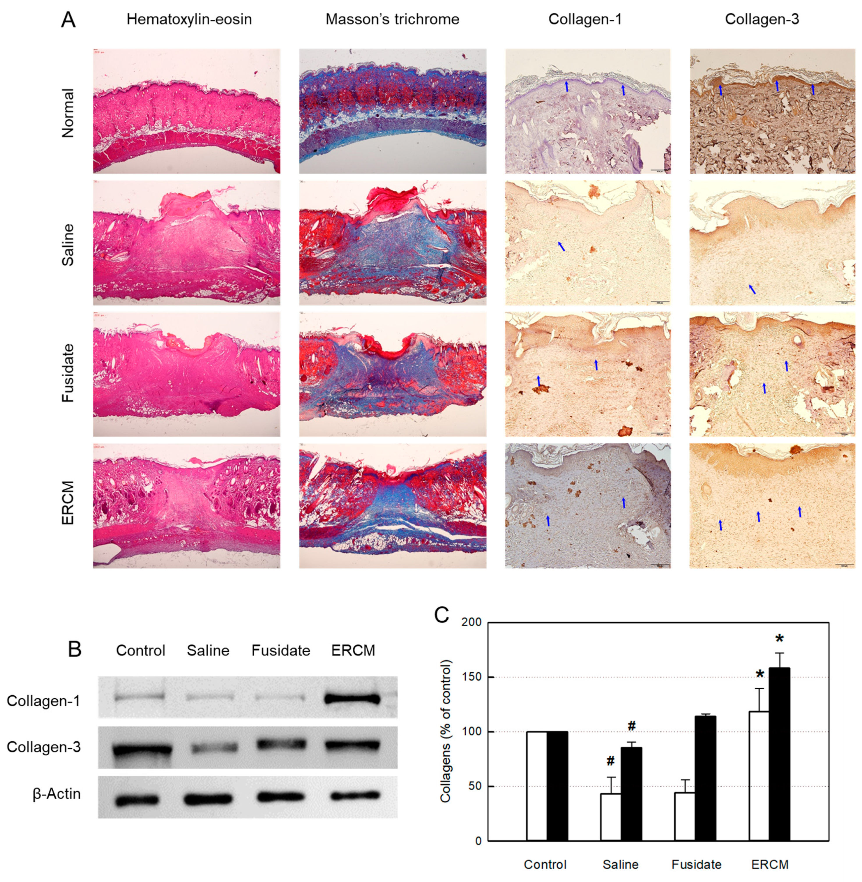 Preprints 81099 g005