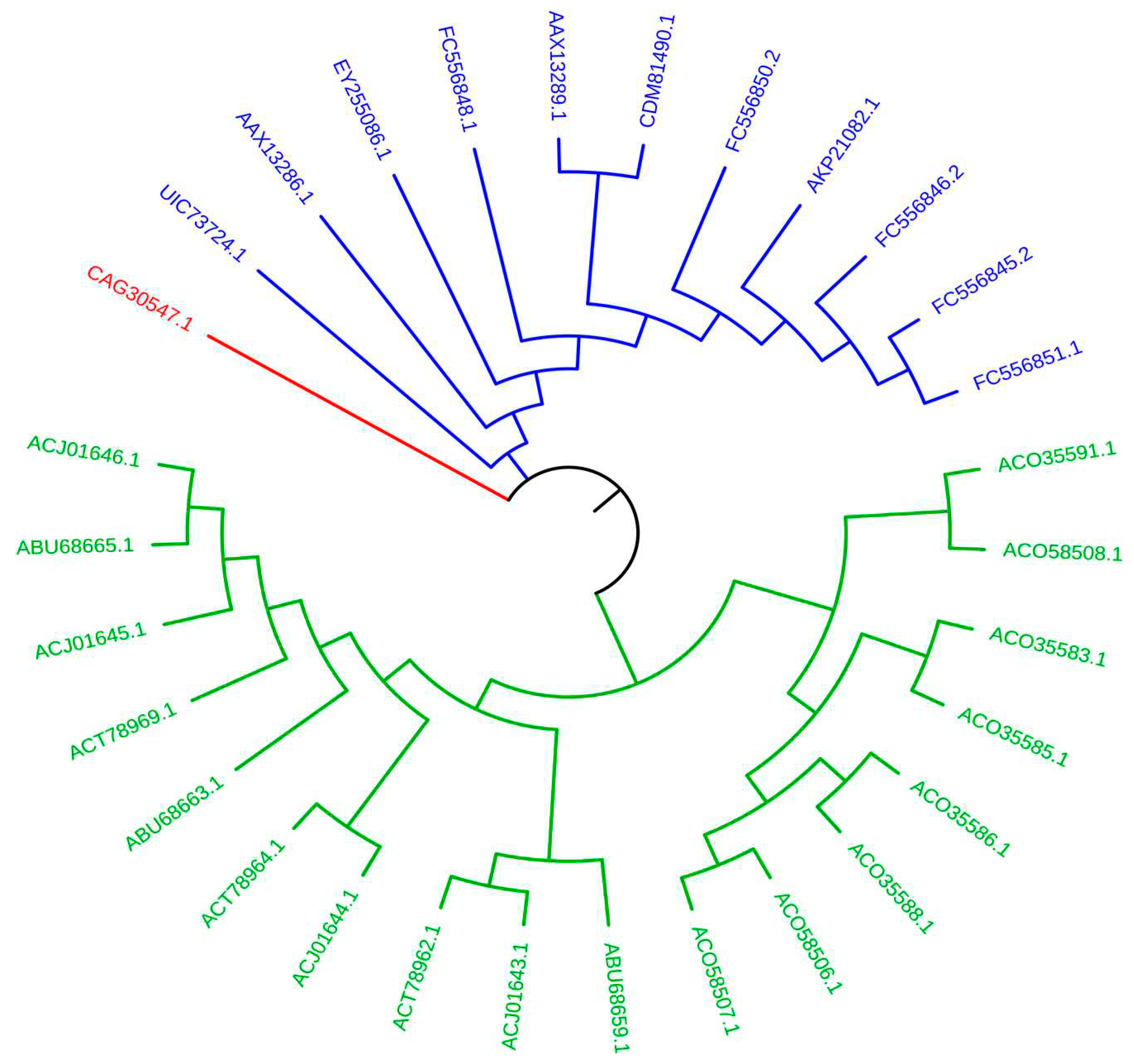 Preprints 82709 g005