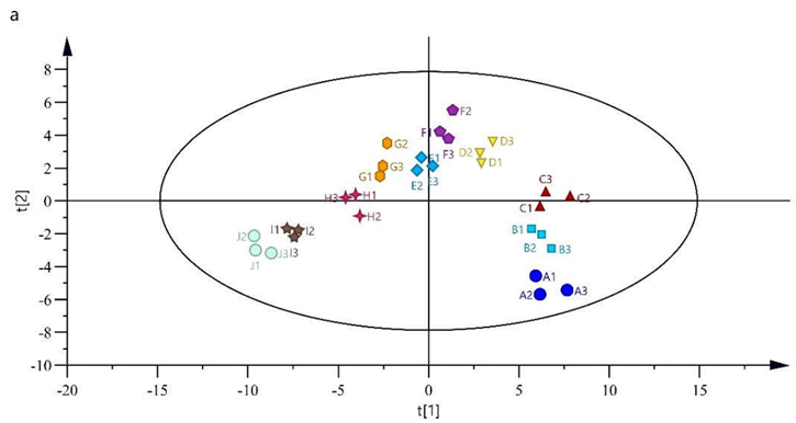 Preprints 104612 i001