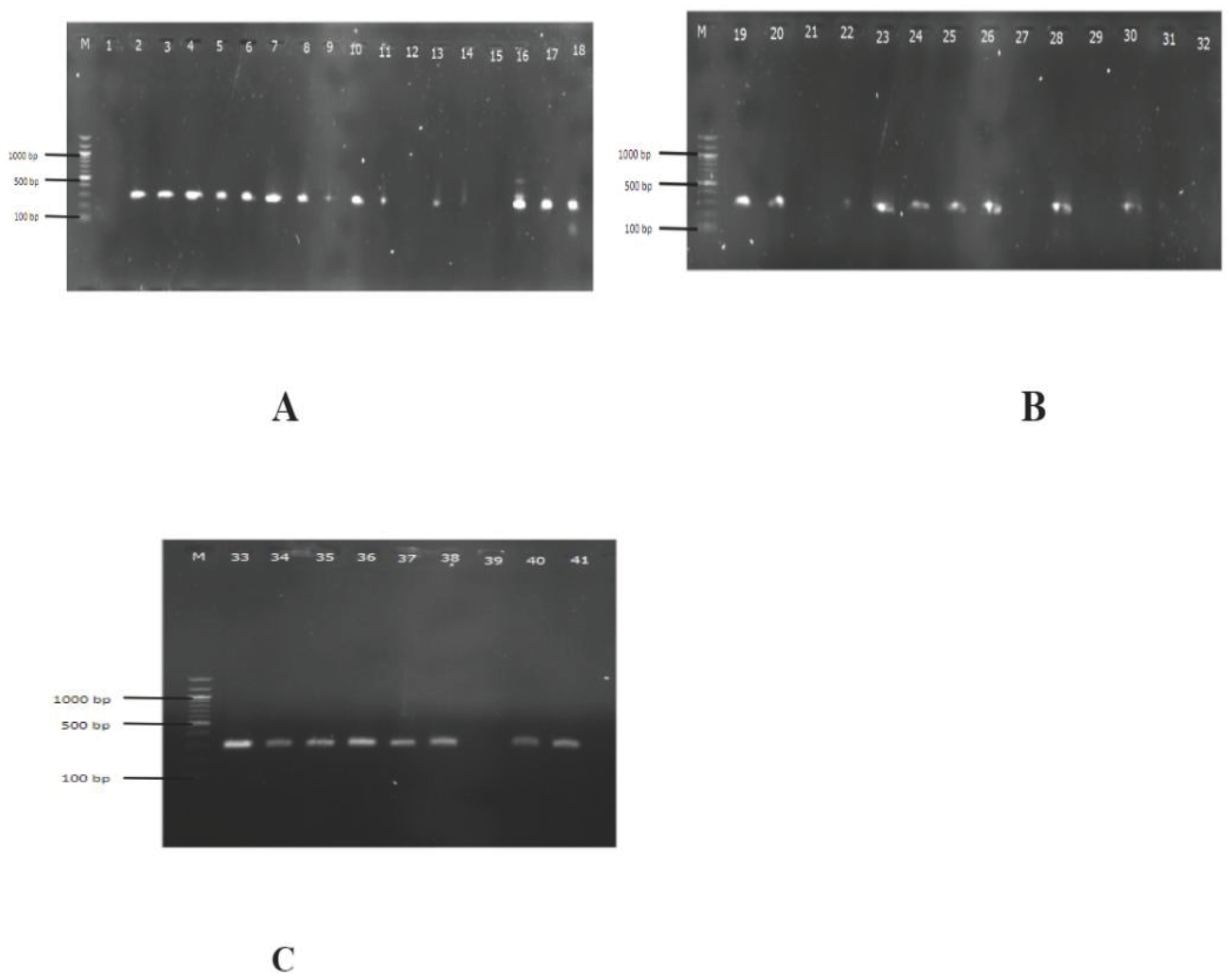 Preprints 102376 g001