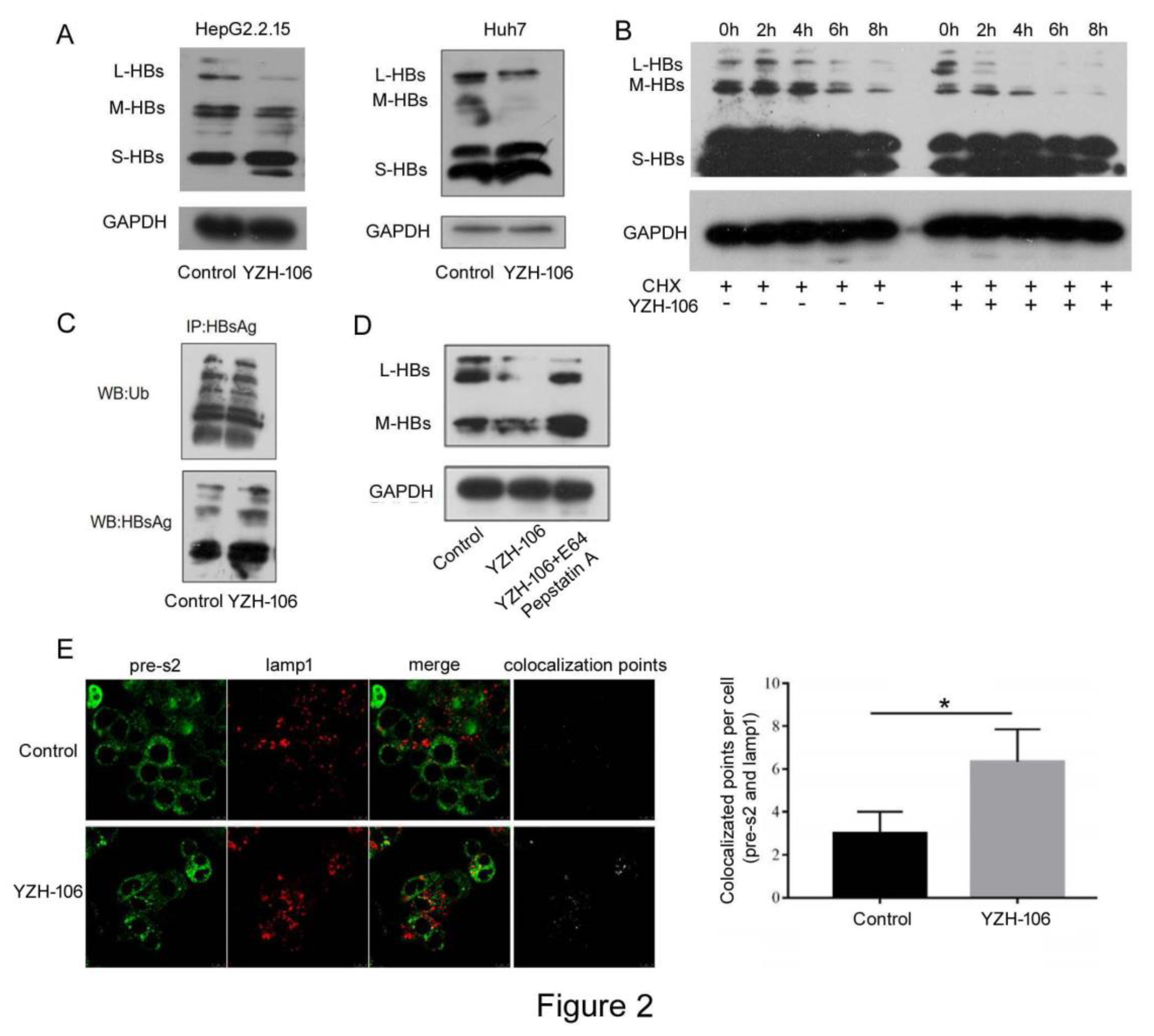 Preprints 105791 g002