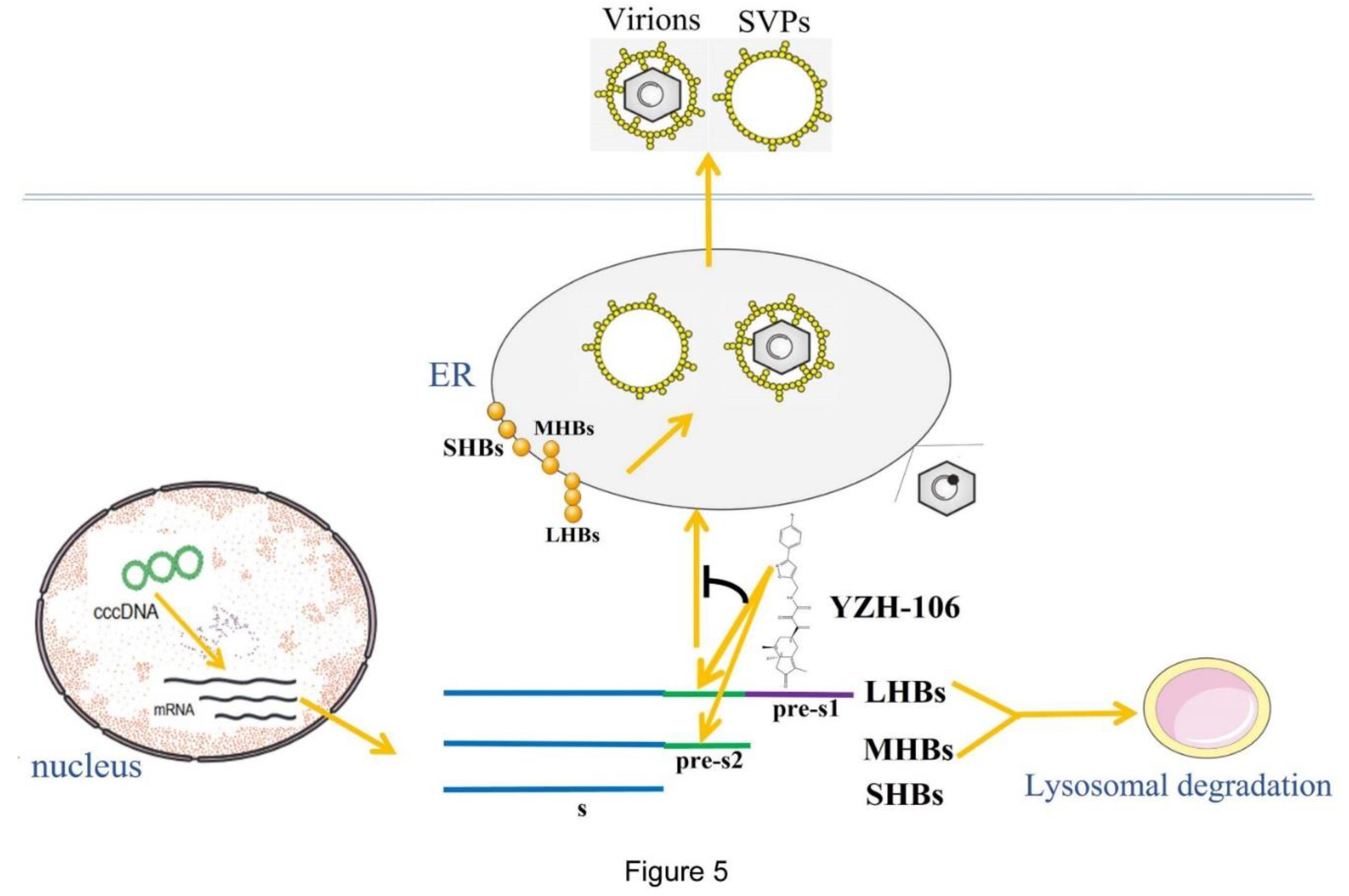 Preprints 105791 g005