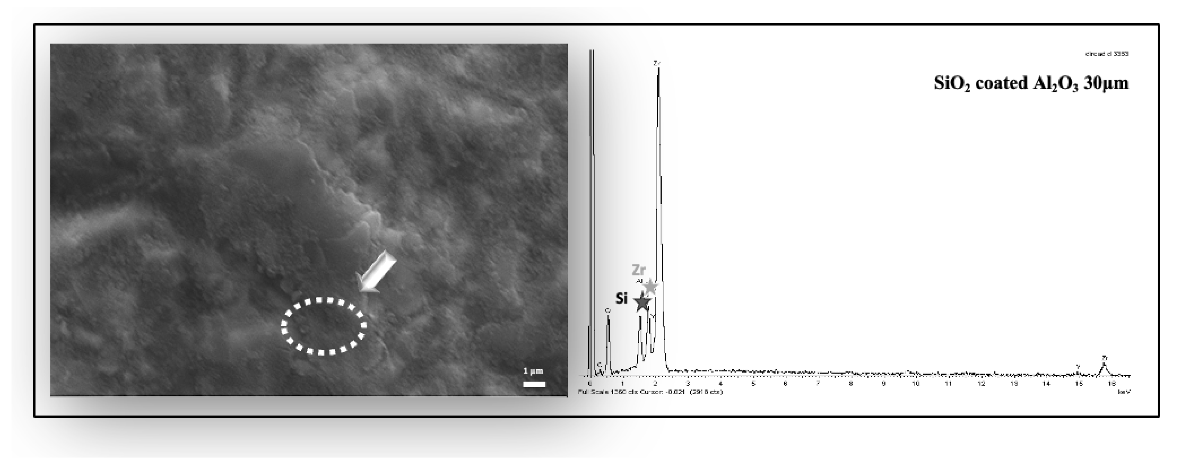 Preprints 107328 g007